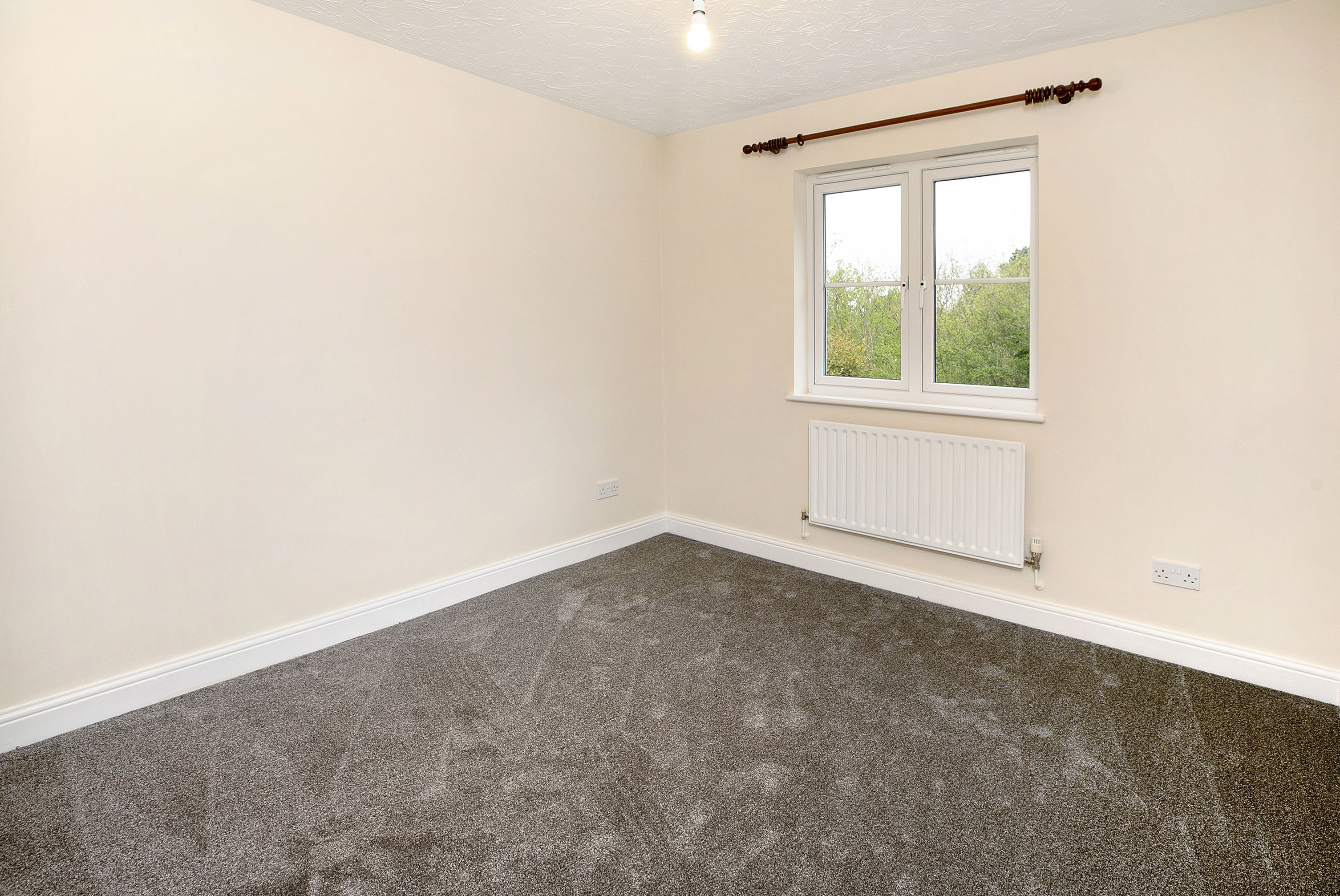 Southbrook Road, Bovey Tracey, TQ13, photo 16