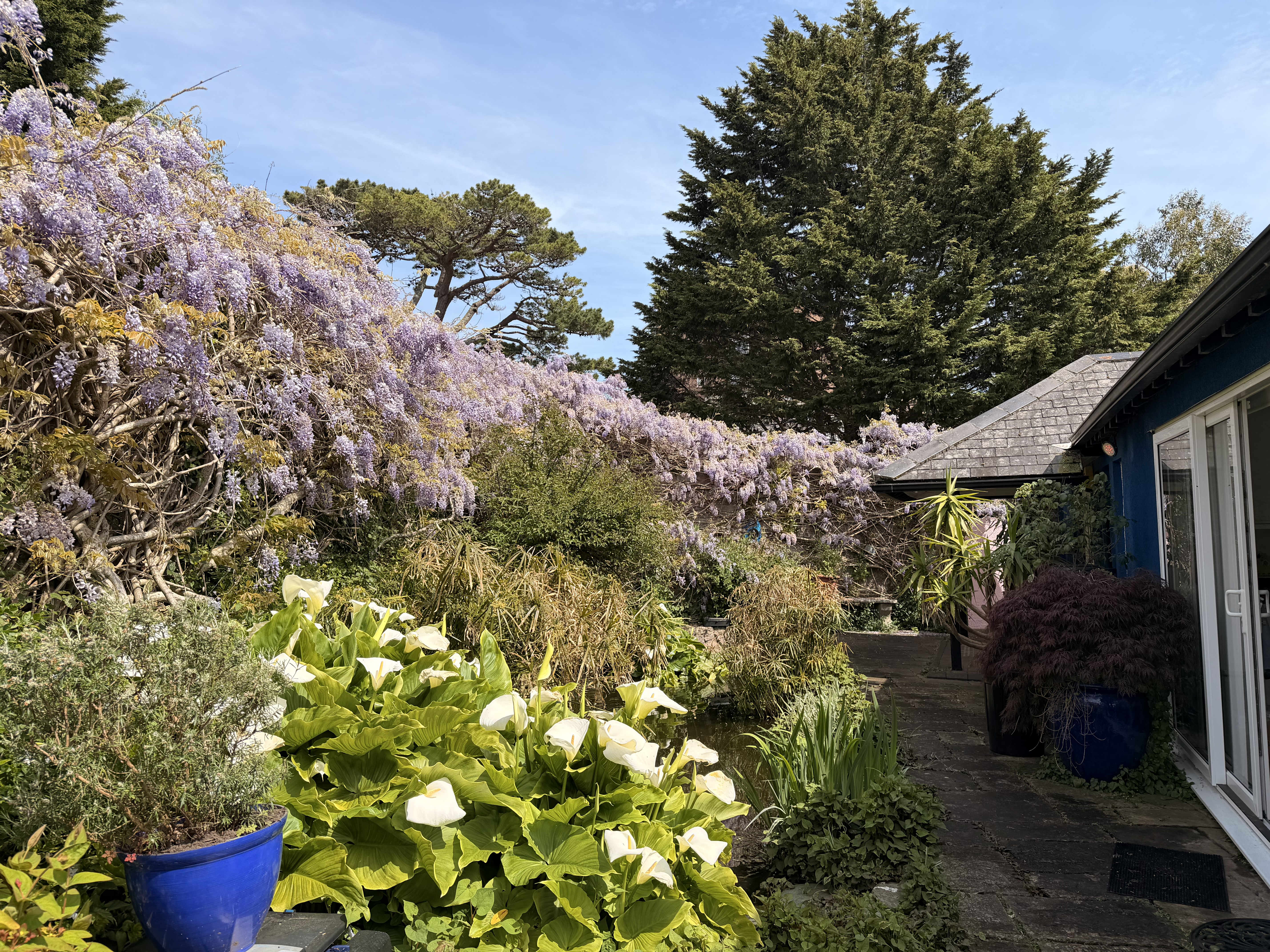 Higher Lincombe Road, Torquay, TQ1, photo 33