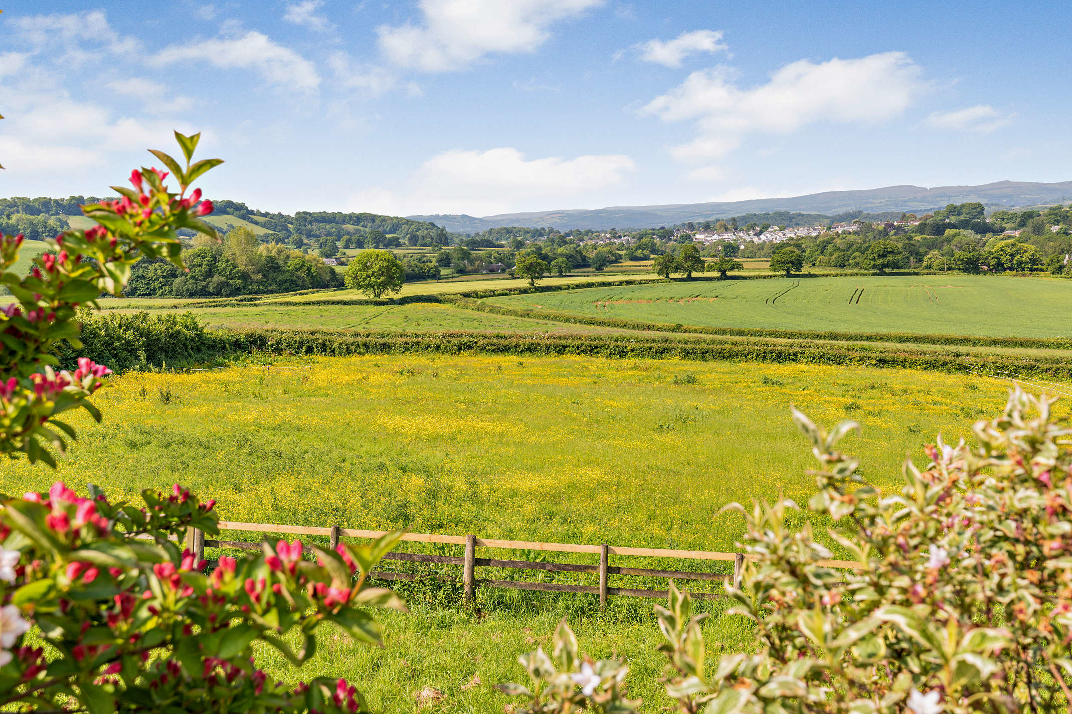 Chudleigh, Newton Abbot, TQ13, photo 35