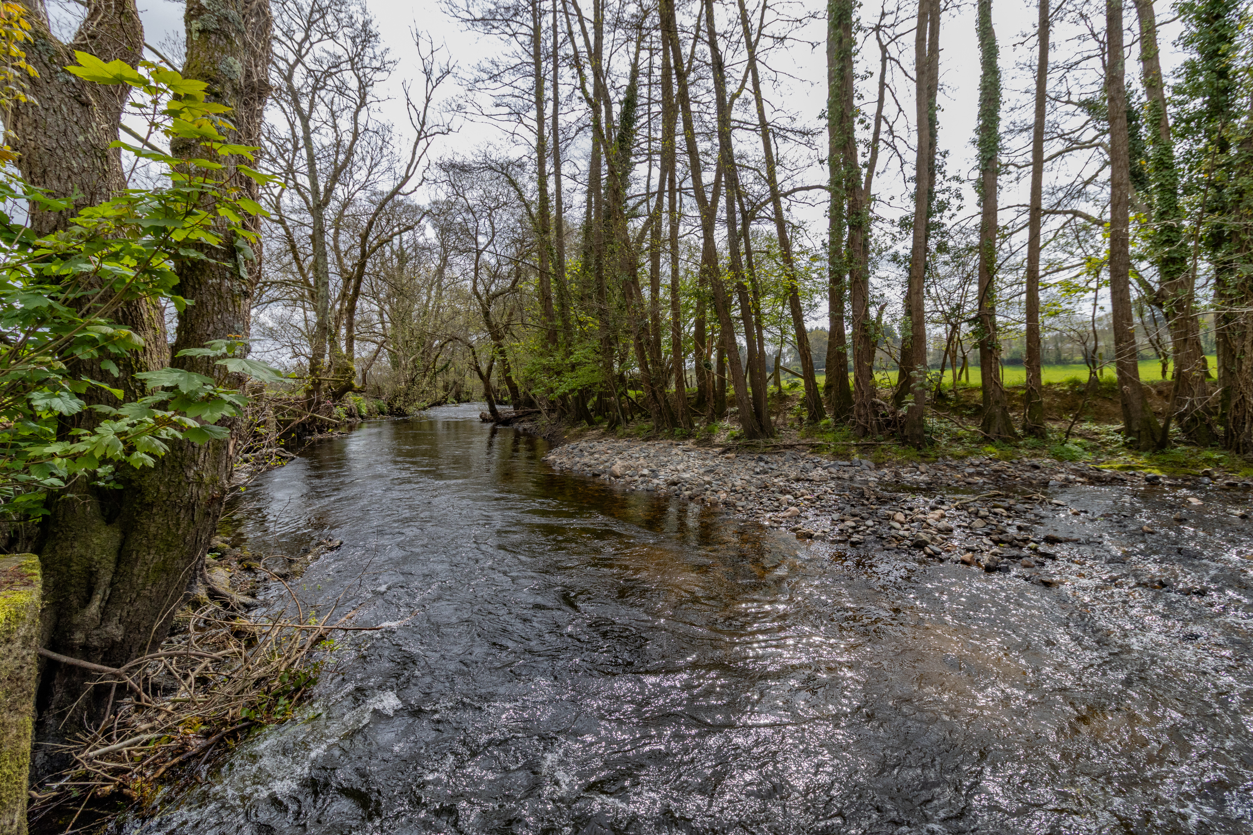 Waterside, Bovey Tracey, TQ13, photo 21