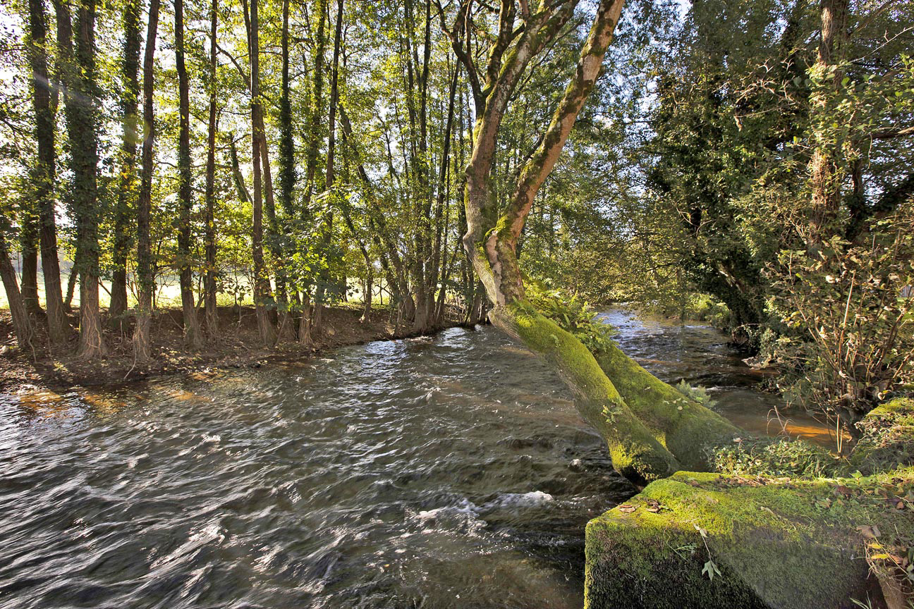 Waterside, Bovey Tracey, TQ13, photo 20