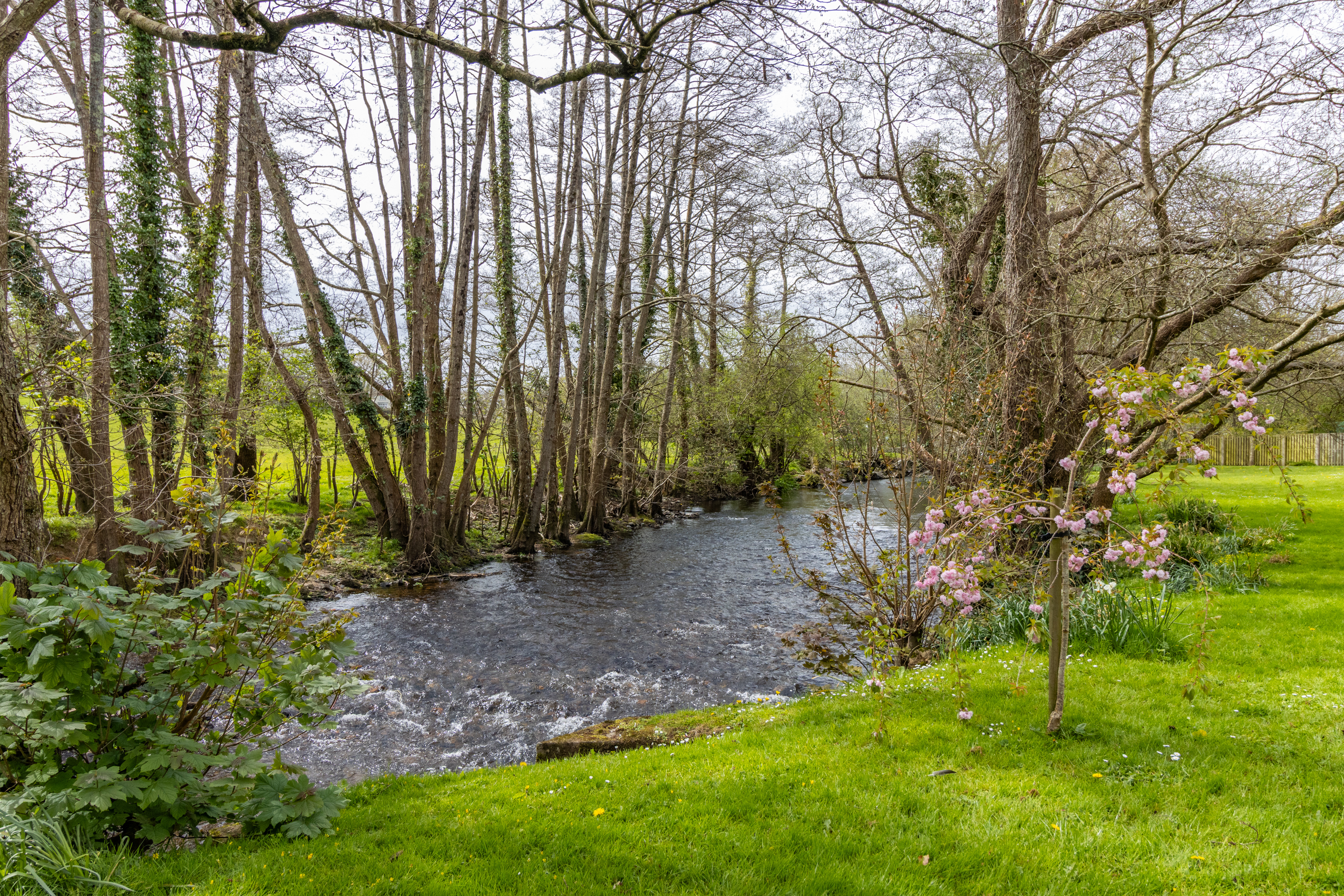 Waterside, Bovey Tracey, TQ13, photo 19