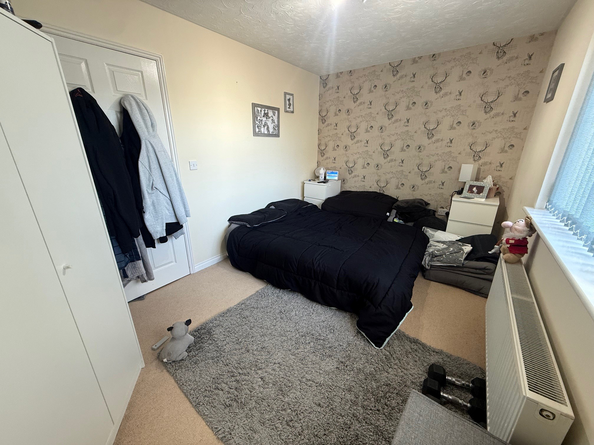 Knights Mead, Chudleigh, TQ13, photo 7