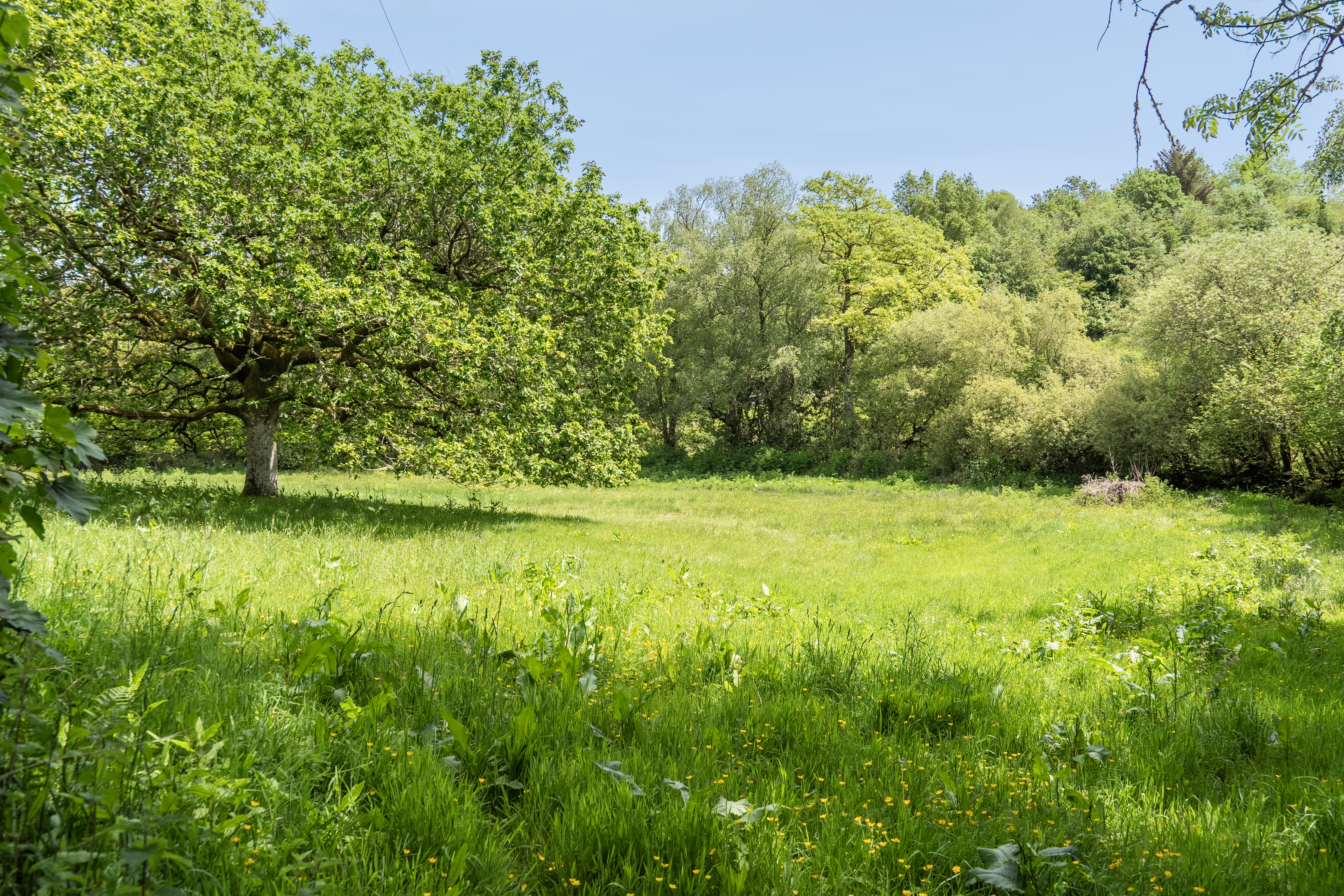 Moretonhampstead, Newton Abbot, TQ13, photo 26