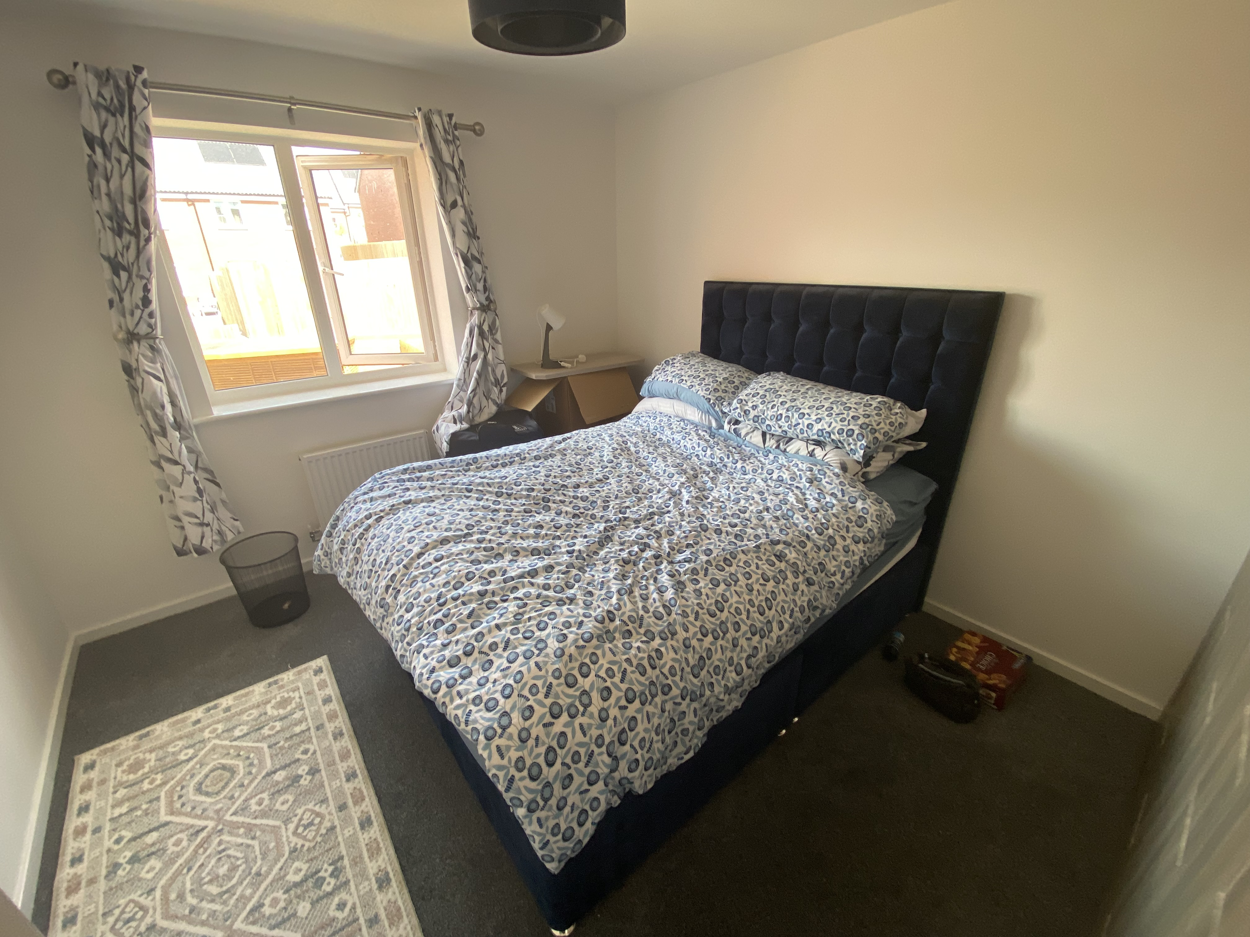 Scoter Court, Dawlish, EX7, photo 10