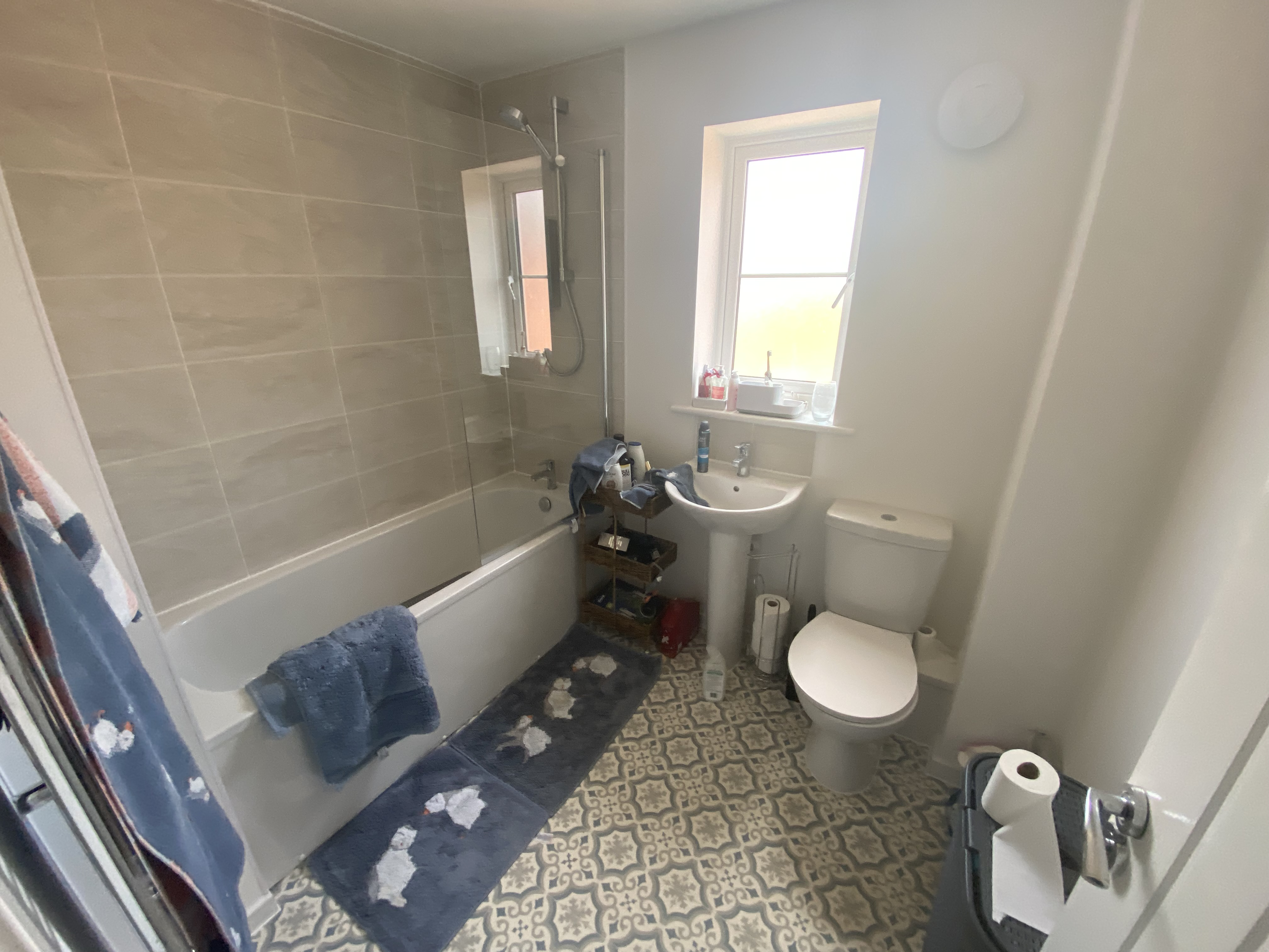 Scoter Court, Dawlish, EX7, photo 16