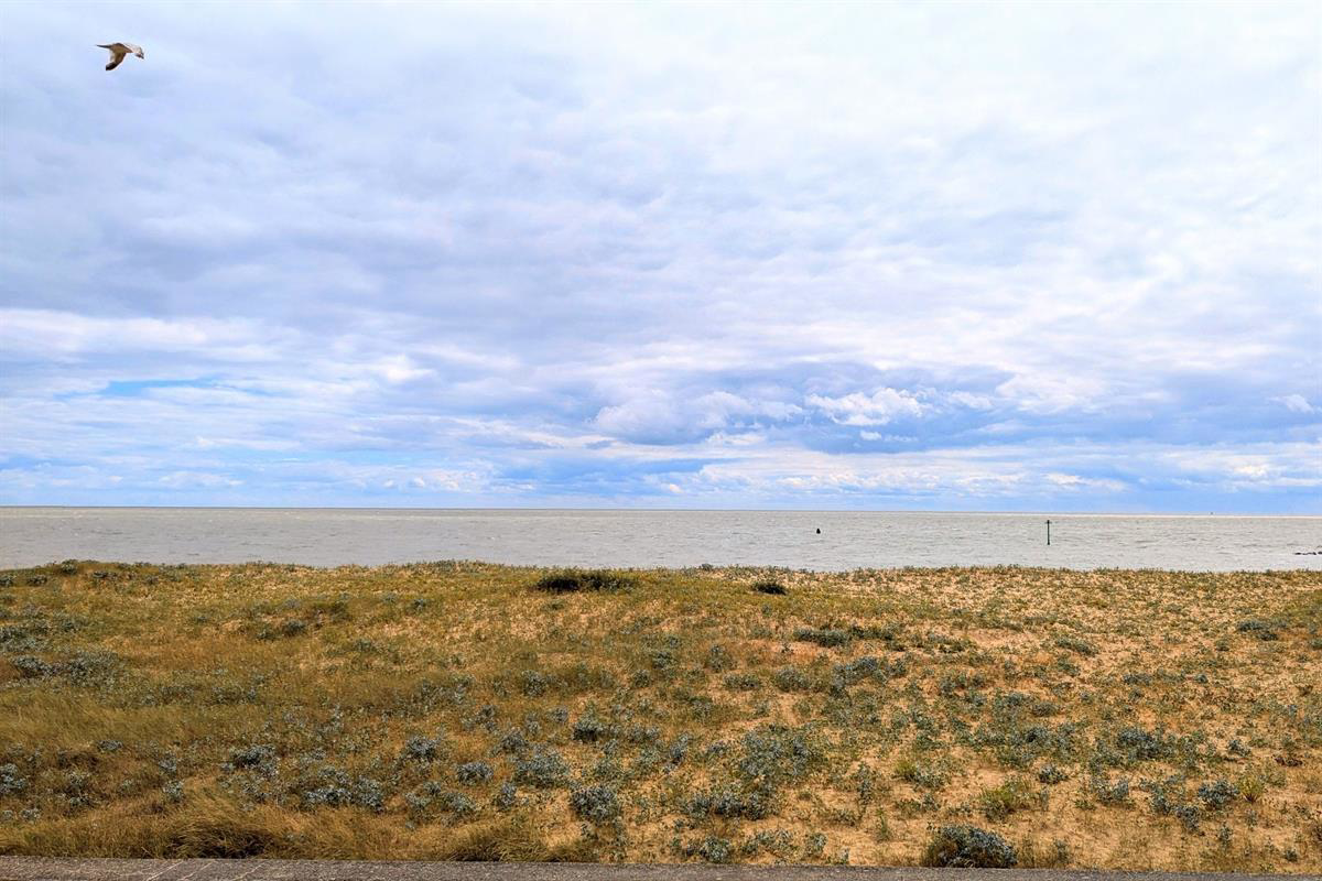 Brooklands, Jaywick, Clacton-on-Sea, photo 2