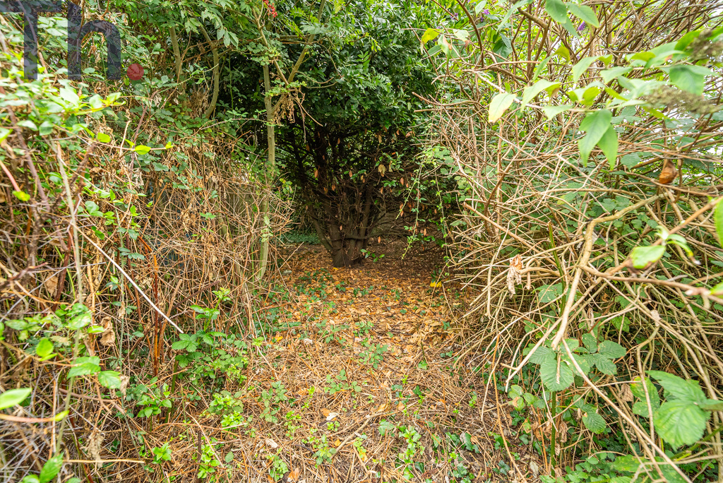 Wroxall, Ventnor, Isle of Wight, photo 13