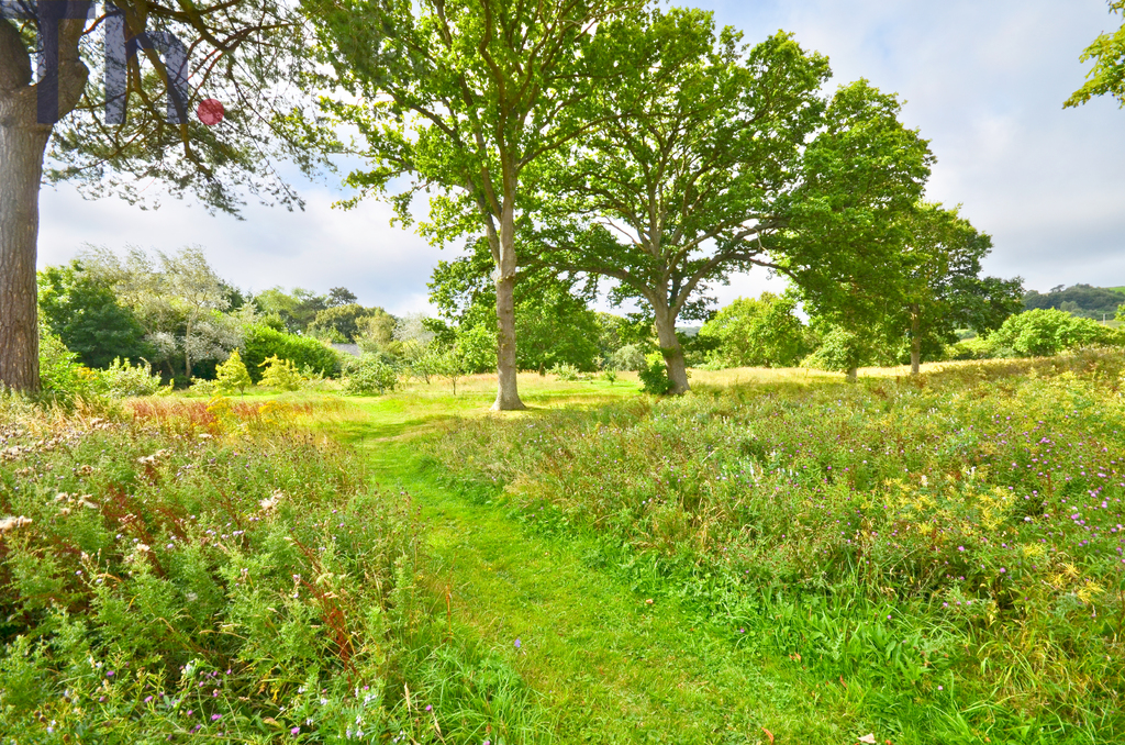 Newport, Isle of Wight, photo 18