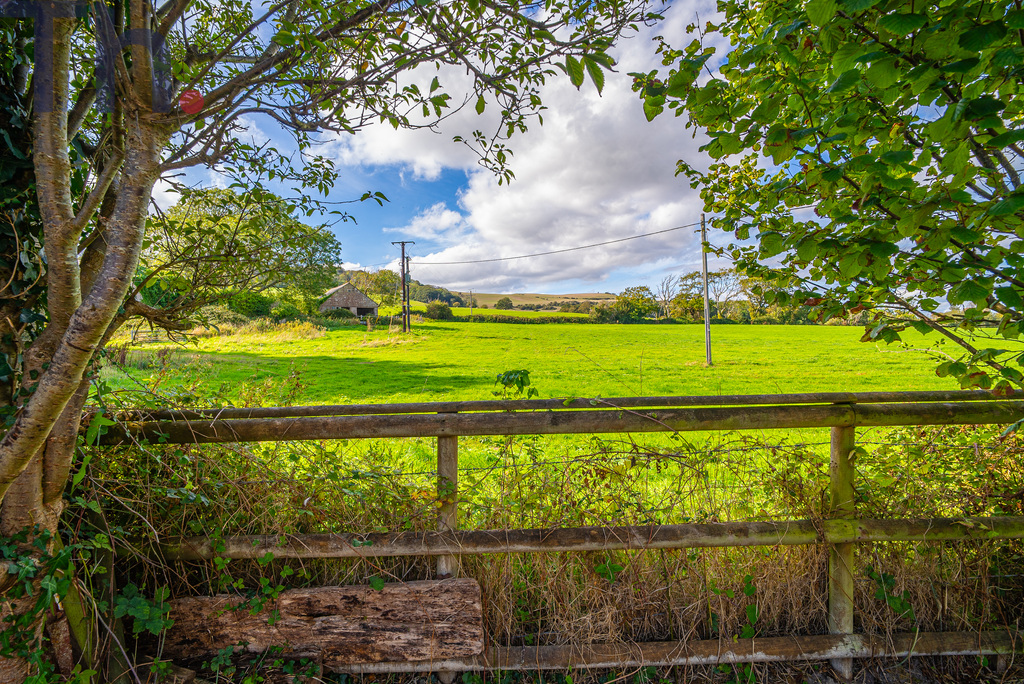 Wroxall, Isle of Wight, photo 4