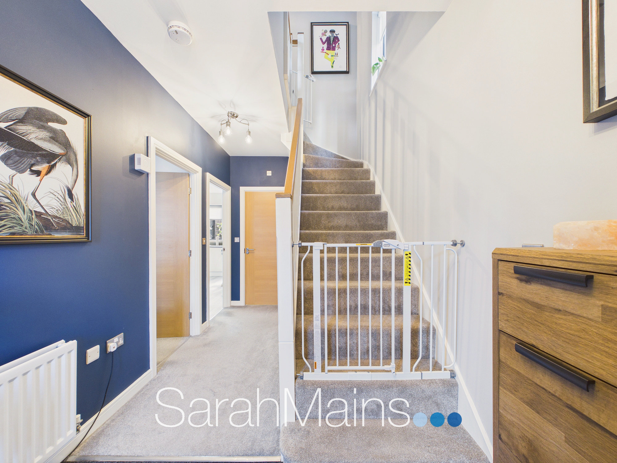 Birch Crescent, Birtley, DH3, photo 5