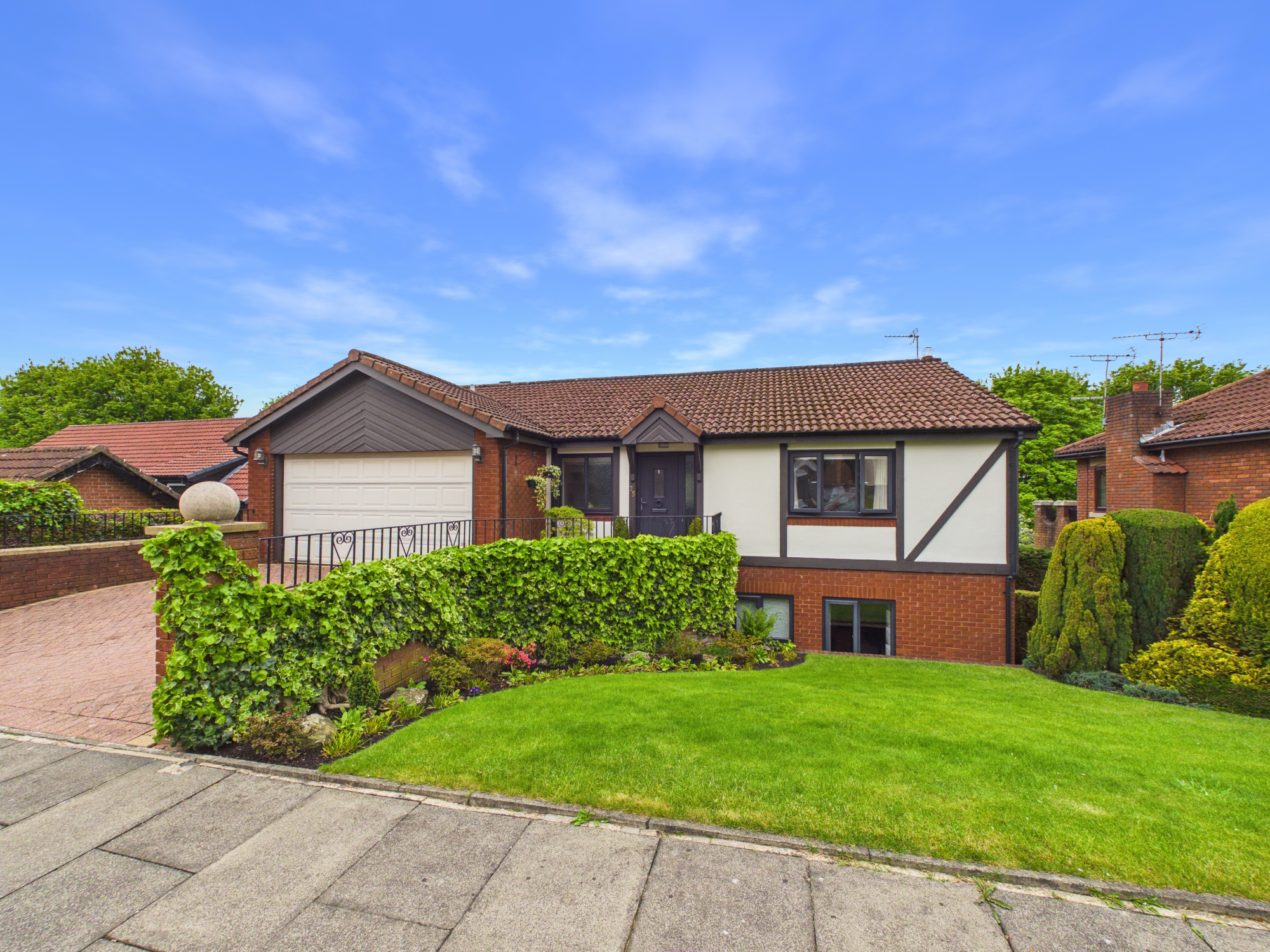 Foxhills Covert, Whickham, NE16