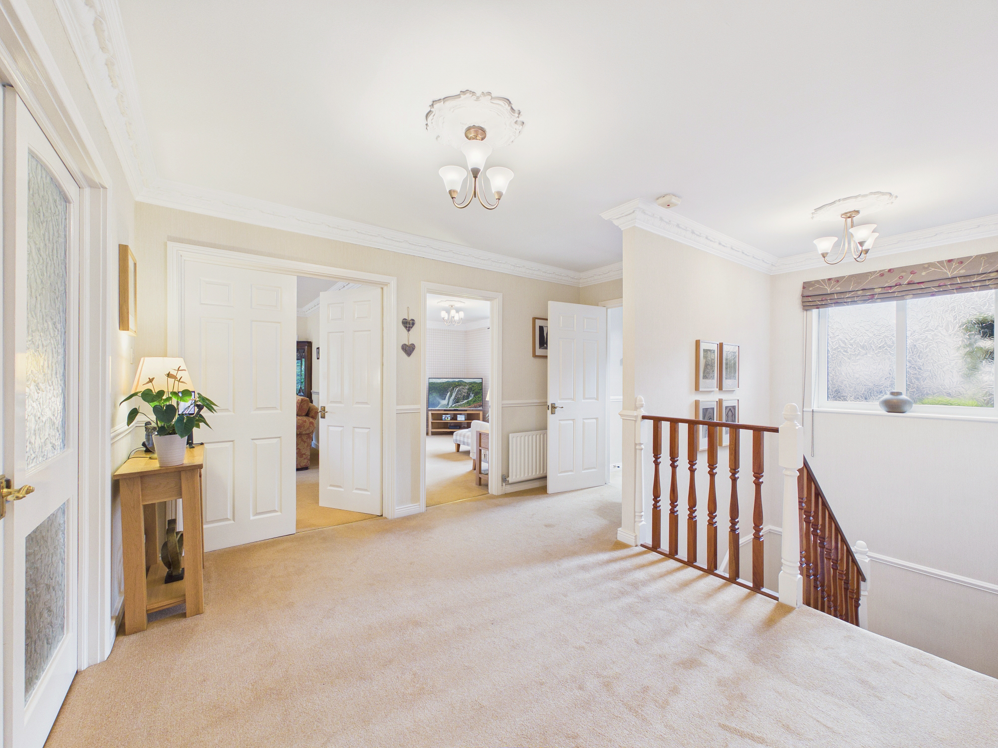 Foxhills Covert, Whickham, NE16, photo 5