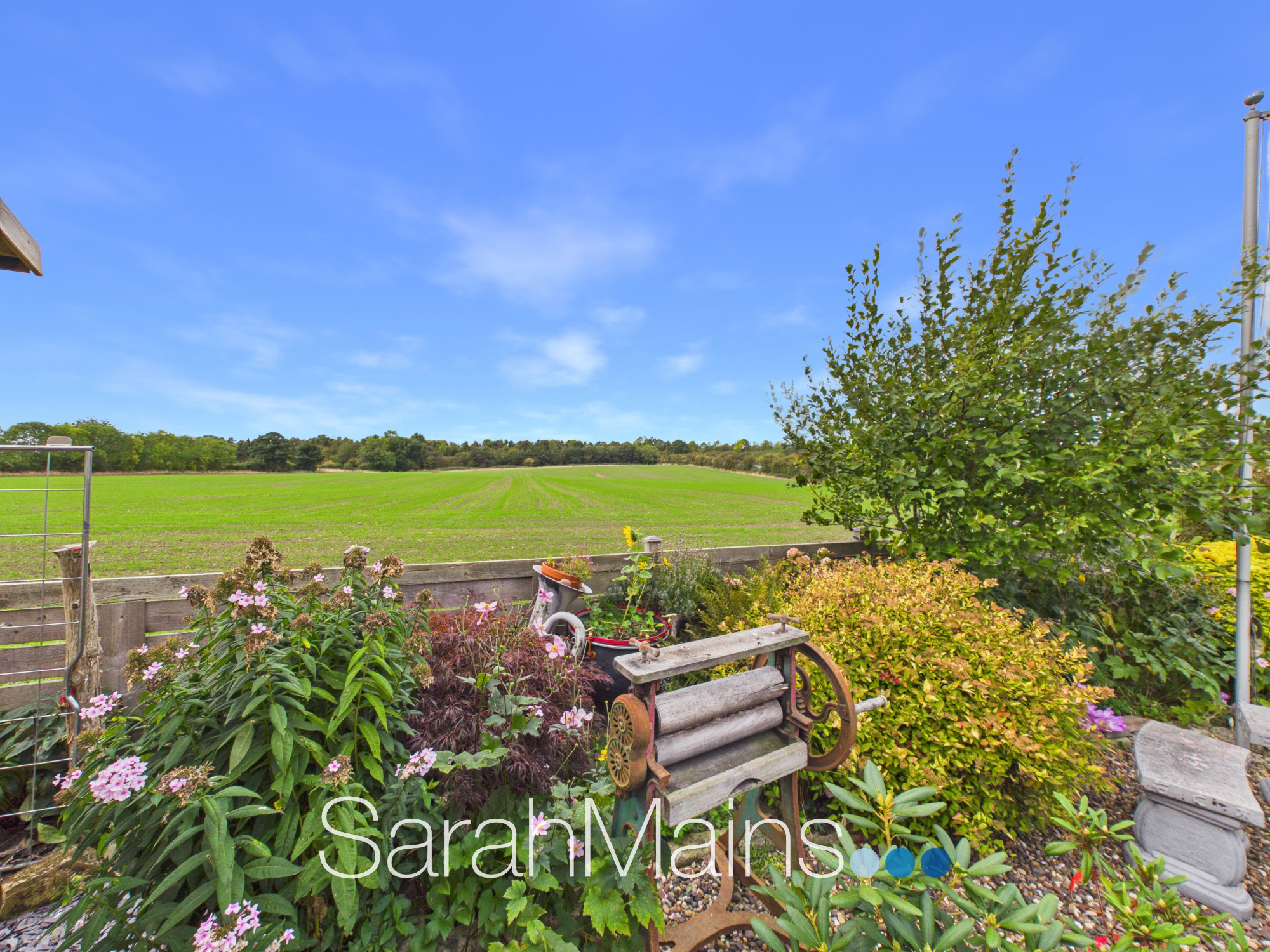 Hazelmere Dene, Seghill, NE23, photo 13