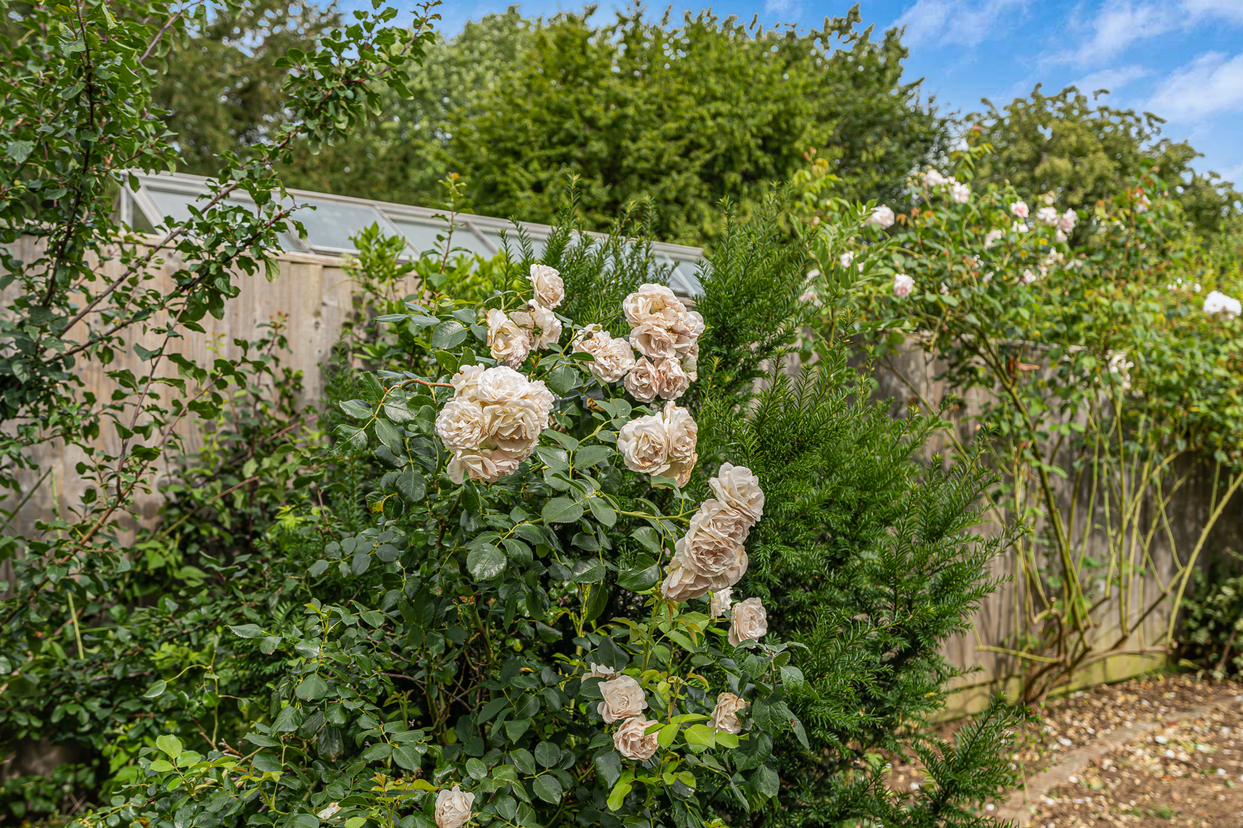 Sledges Rest, Lower End, Leafield, Witney, OX29 9QG, photo 22