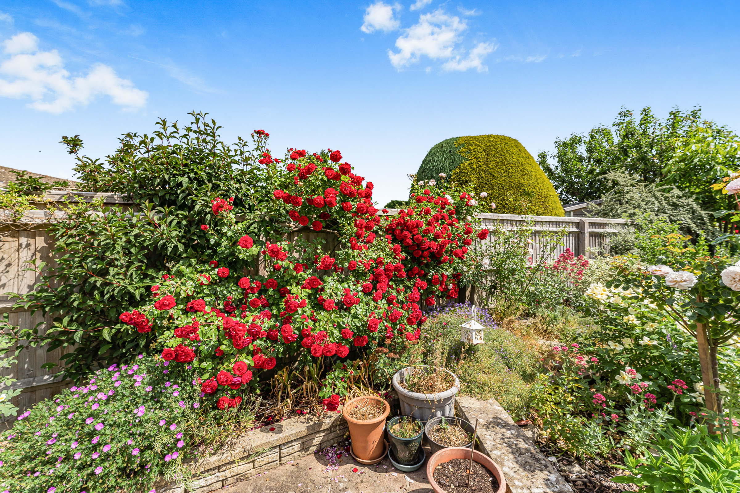 Manor Crescent, Standlake, OX29, photo 21