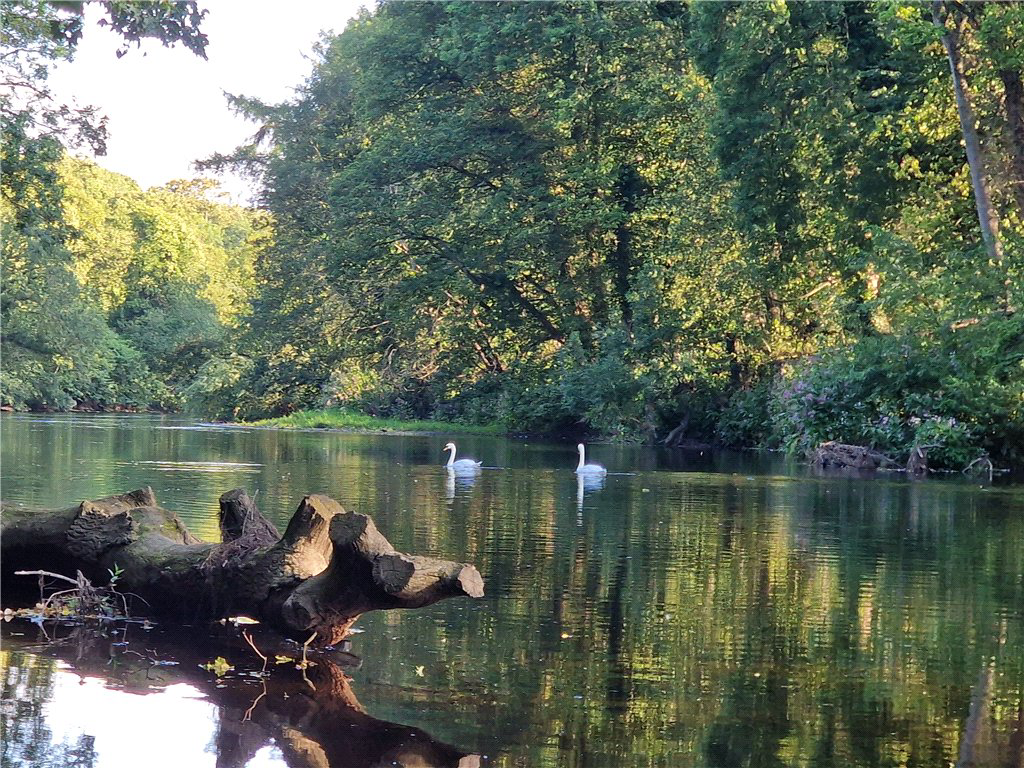 Riverbank Cottage, Over Dinsdale, North Yorkshire, DL2, photo 6