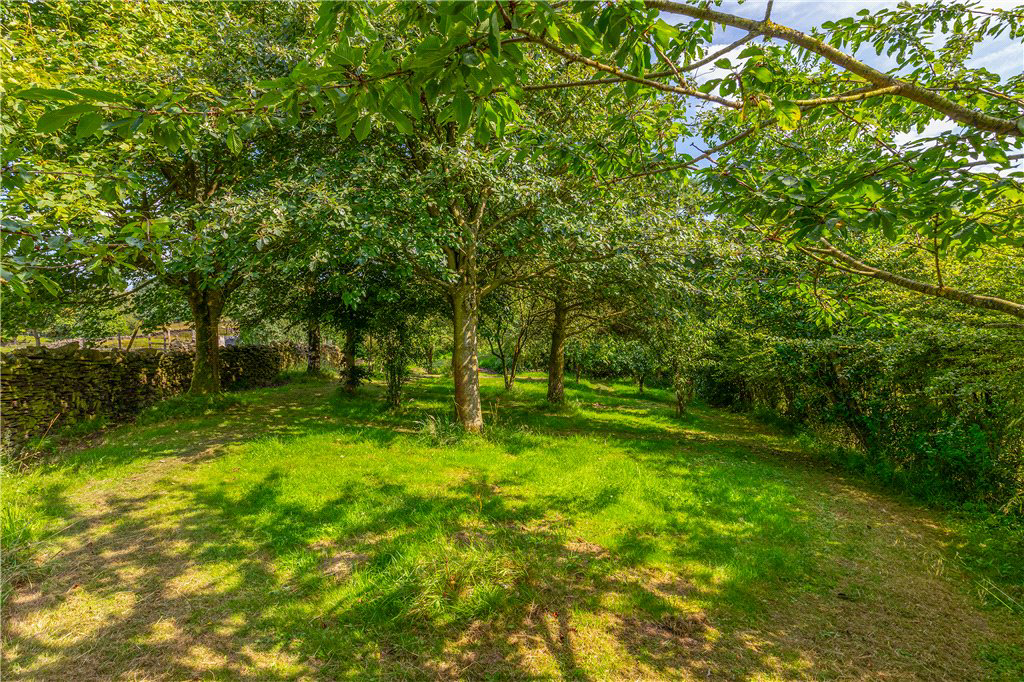 Ilkley, North Yorkshire, LS29, photo 33