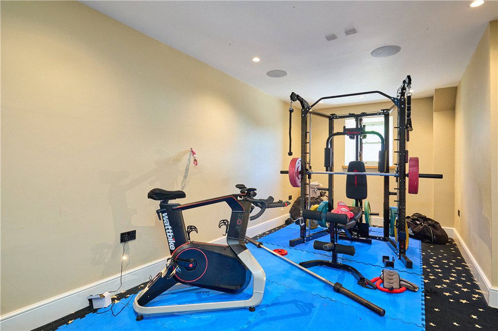 Gym/Cinema Room