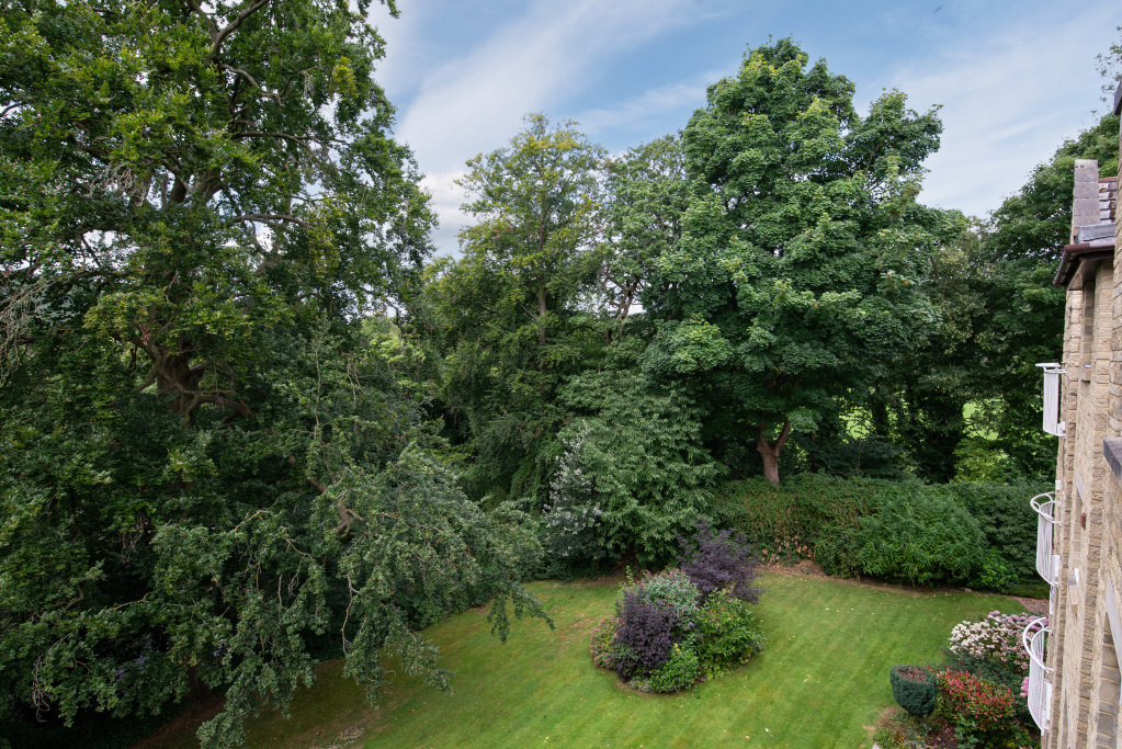 Beech Street, Bingley, West Yorkshire, BD16, photo 12