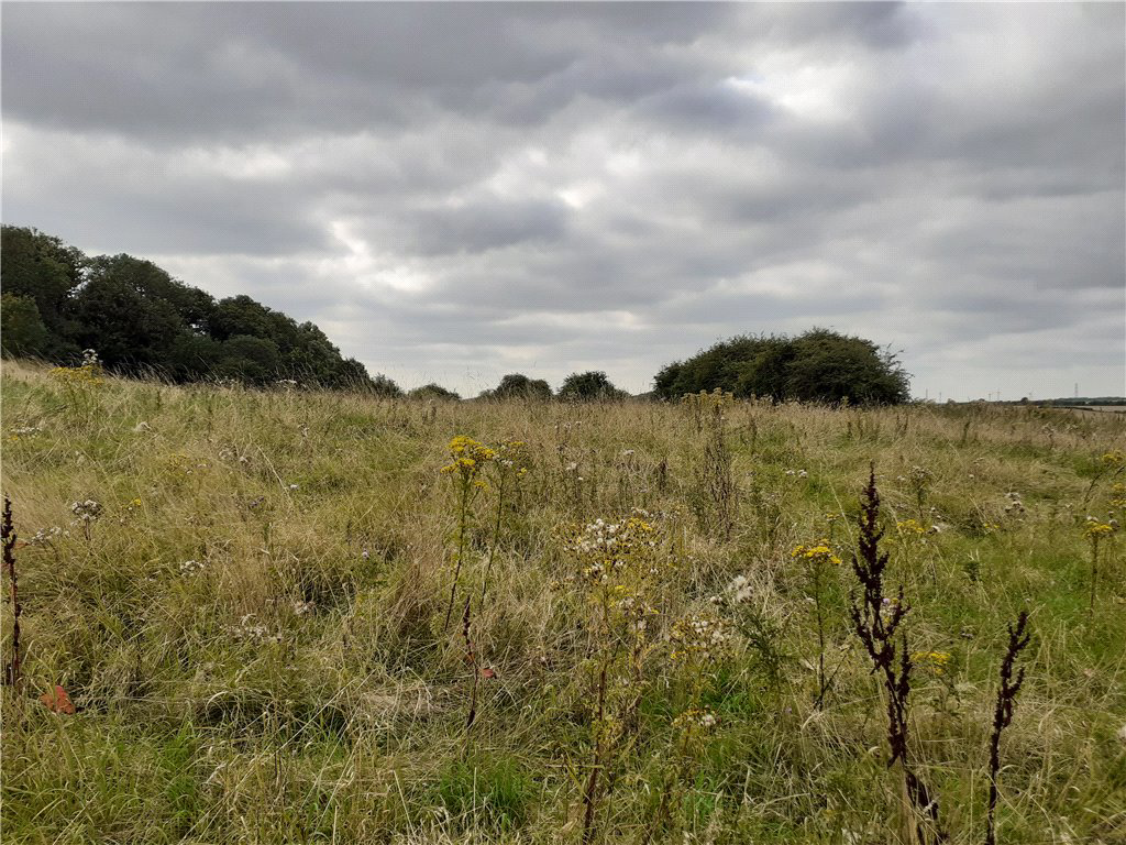 Sir Johns Lane, Sherburn In Elmet, Nr. Leeds, LS25, photo 2