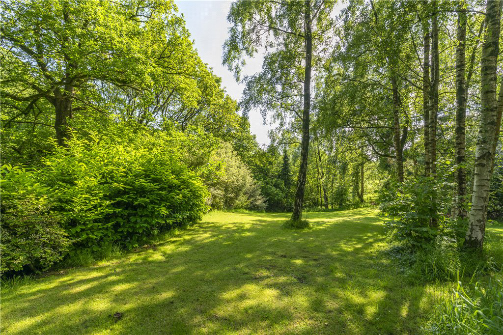 Delightful Grounds
