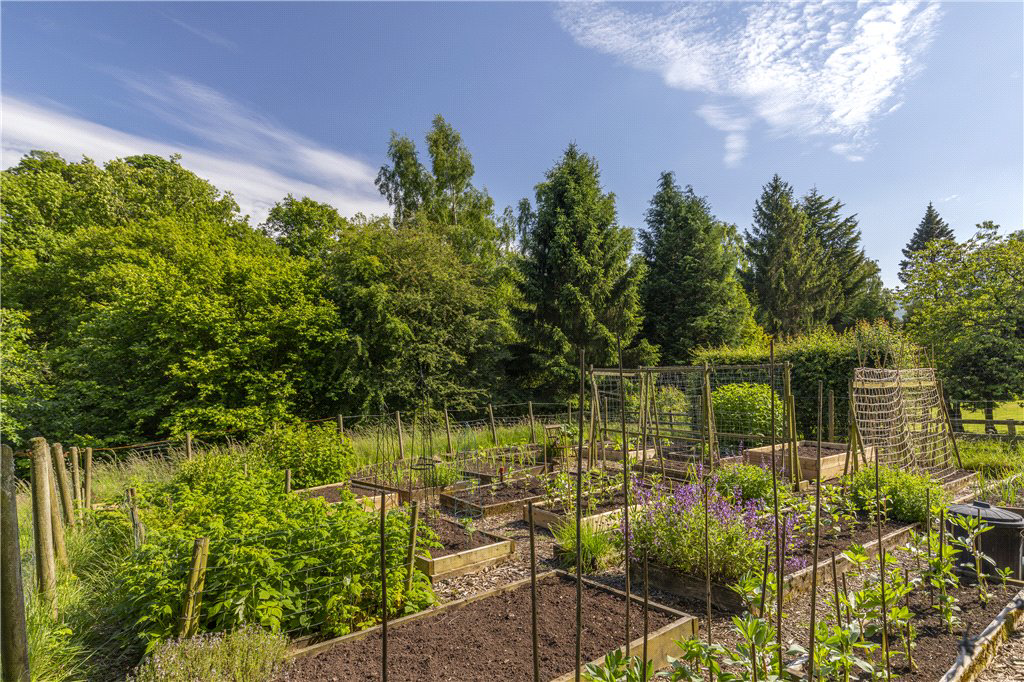 Vegetable Garden