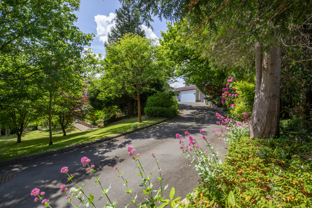 Driveway Approach