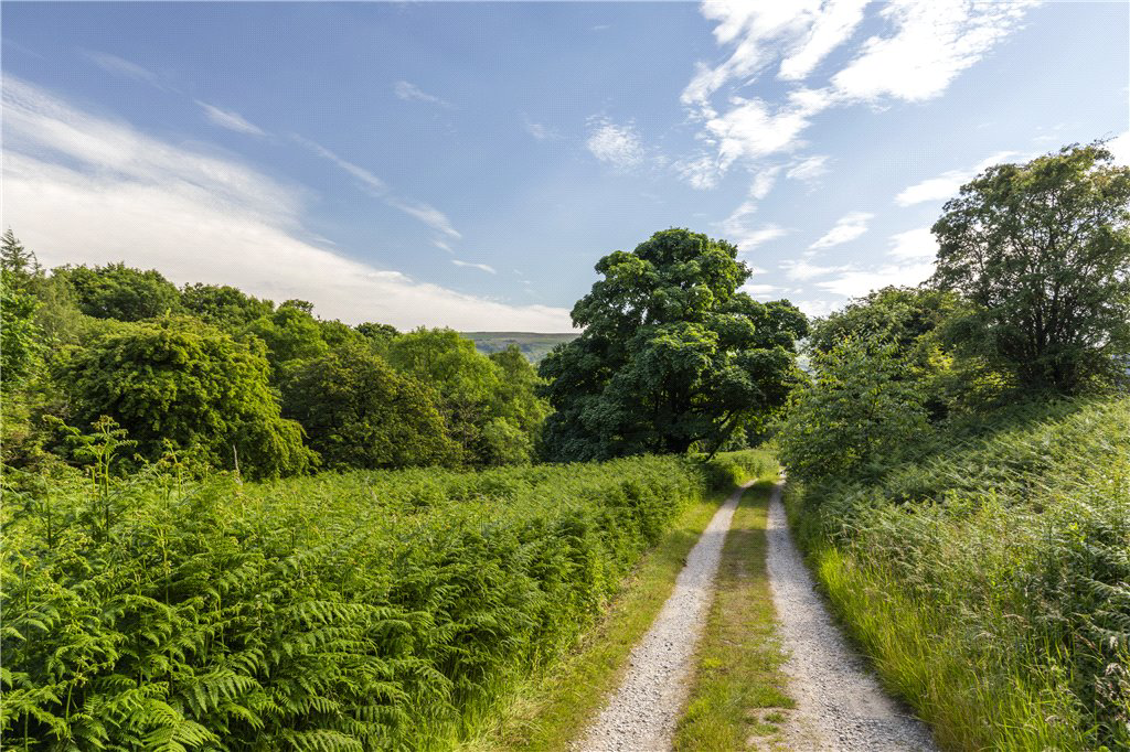 Bucolic Approach