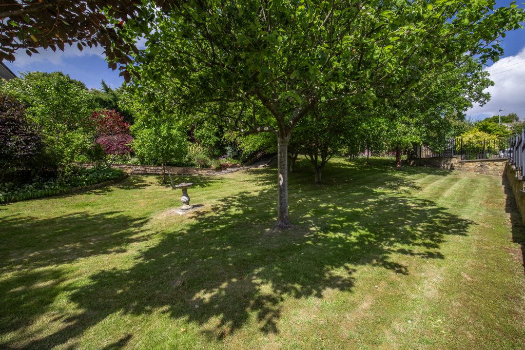 Side Garden