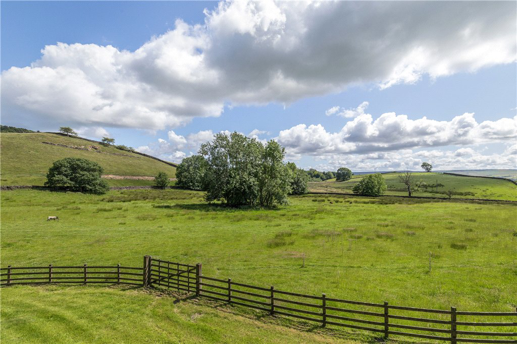 Grazing Land