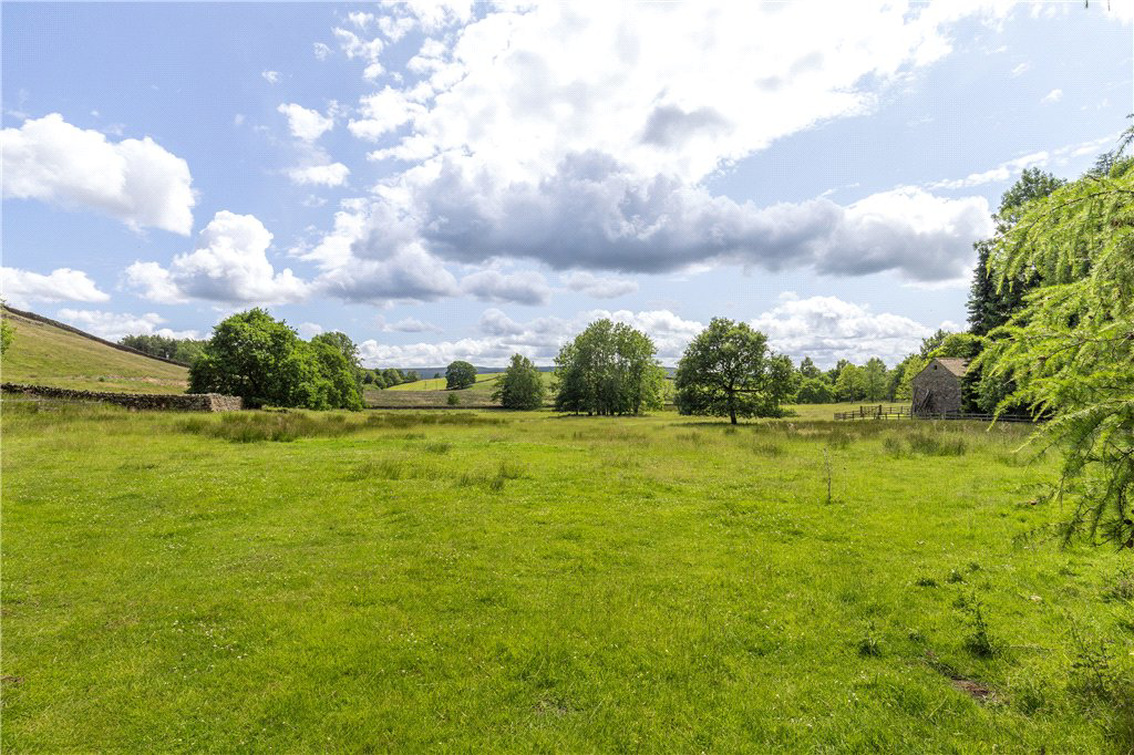 Main Field
