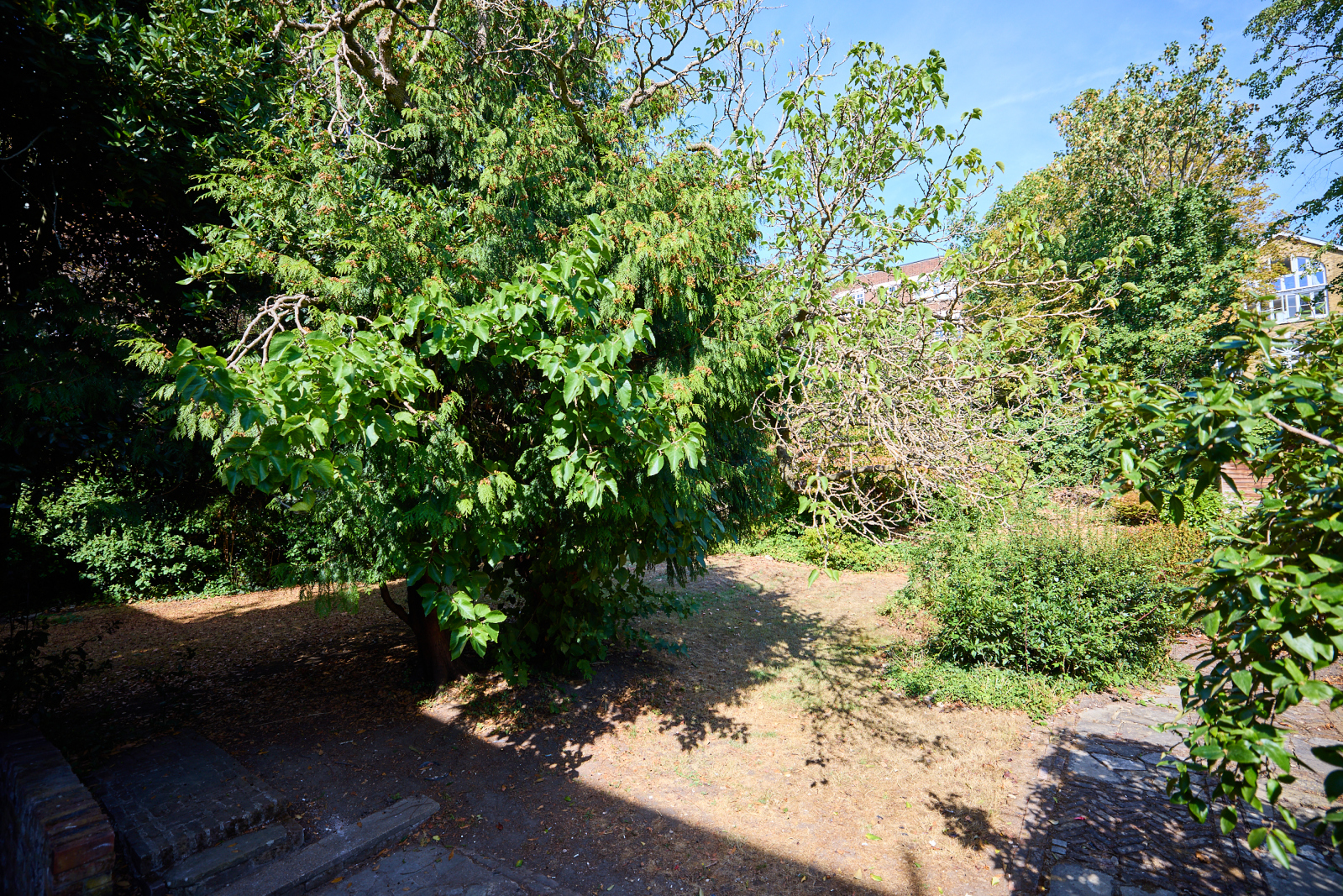 Woodchurch Road, London, NW6, photo 24