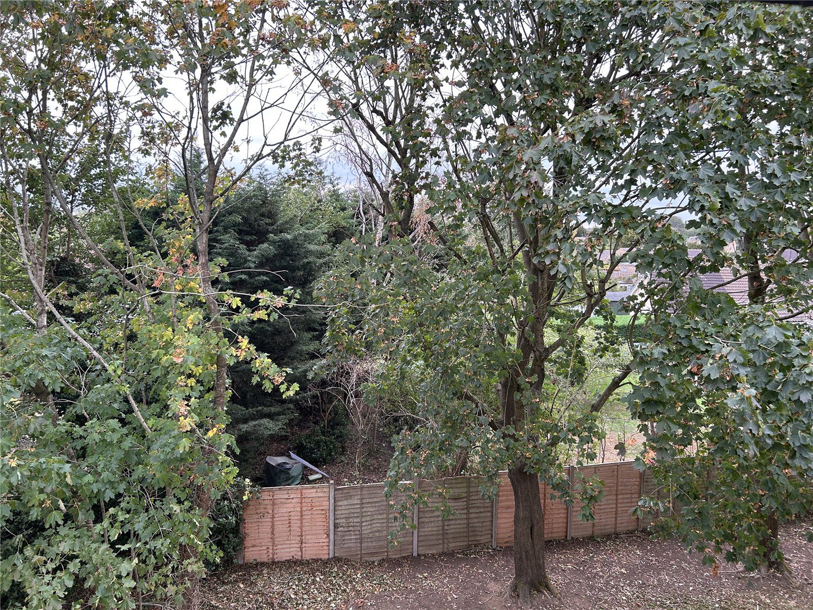 Woodlands Road, Witney, Oxfordshire, OX28, photo 3