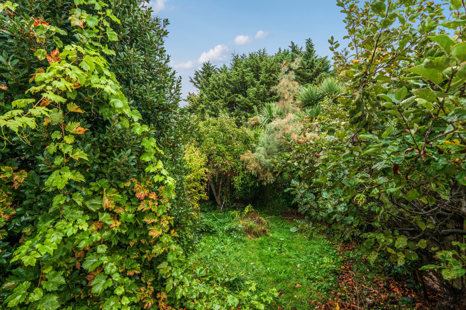 Irkdale Avenue, Enfield, EN1, photo 25