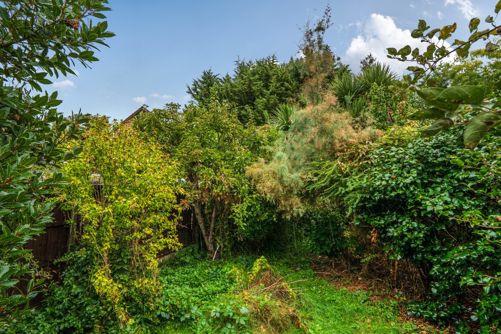Irkdale Avenue, Enfield, EN1, photo 26