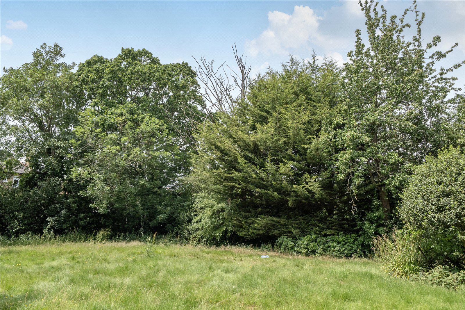 Bycullah Road, Enfield, EN2, photo 12