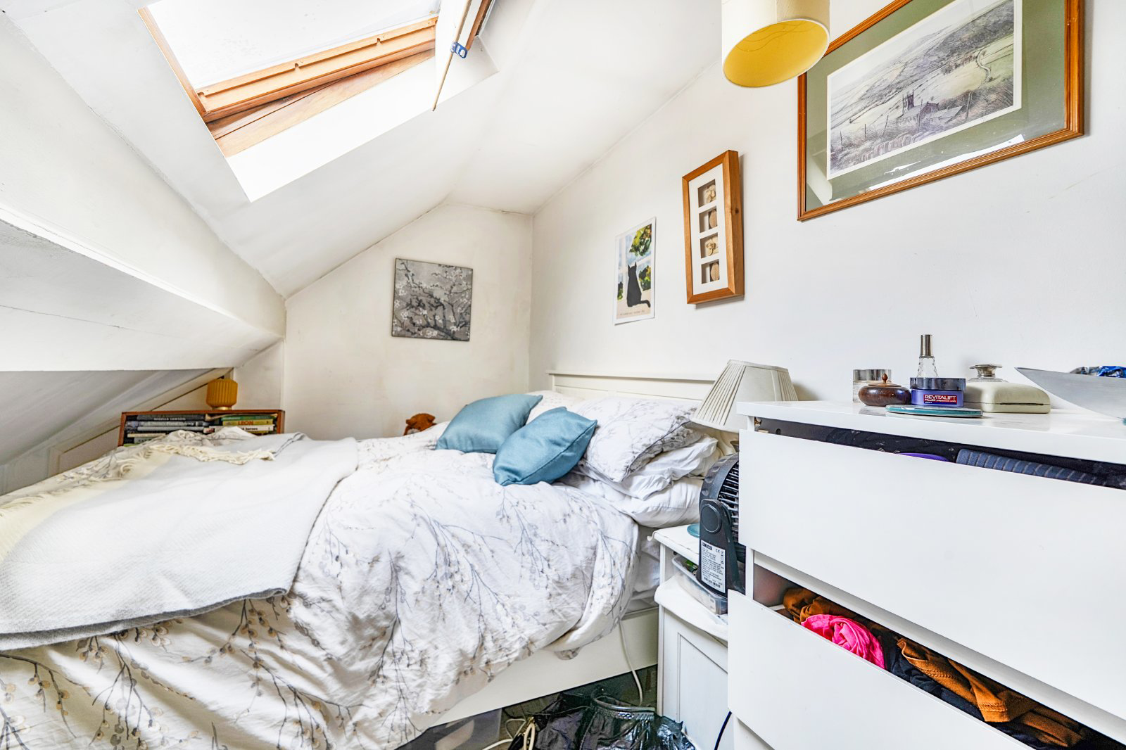 Photo 5