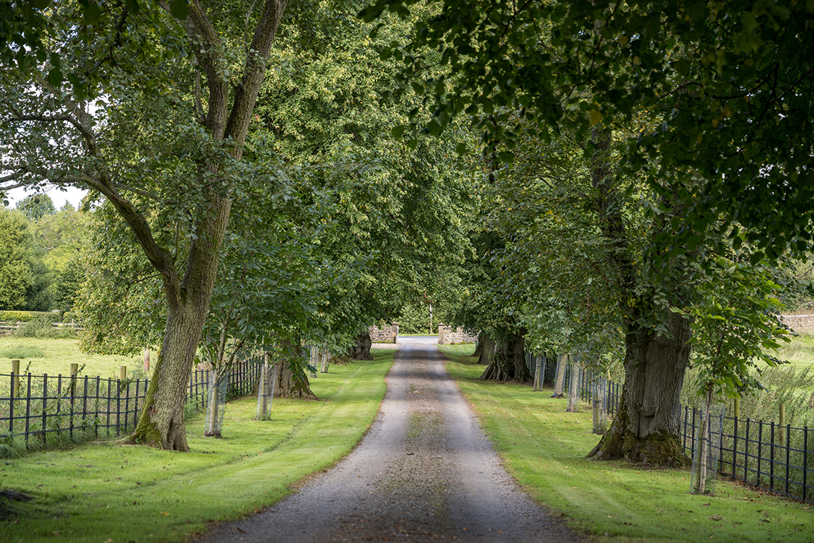 Bellister Castle, Haltwhistle, Northumberland, photo 11