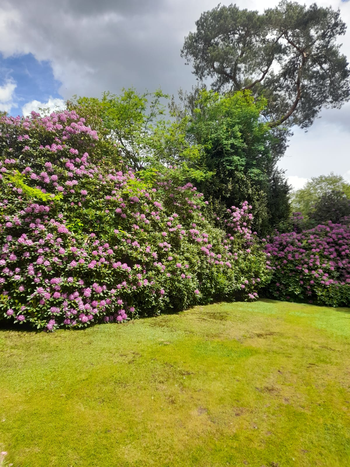 Lower Wokingham Road, Crowthorne, RG45 6DA, photo 22