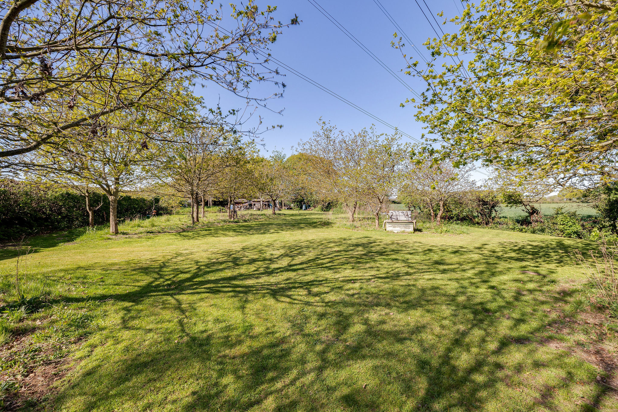 Grove Road, Mollington, CH1, photo 25