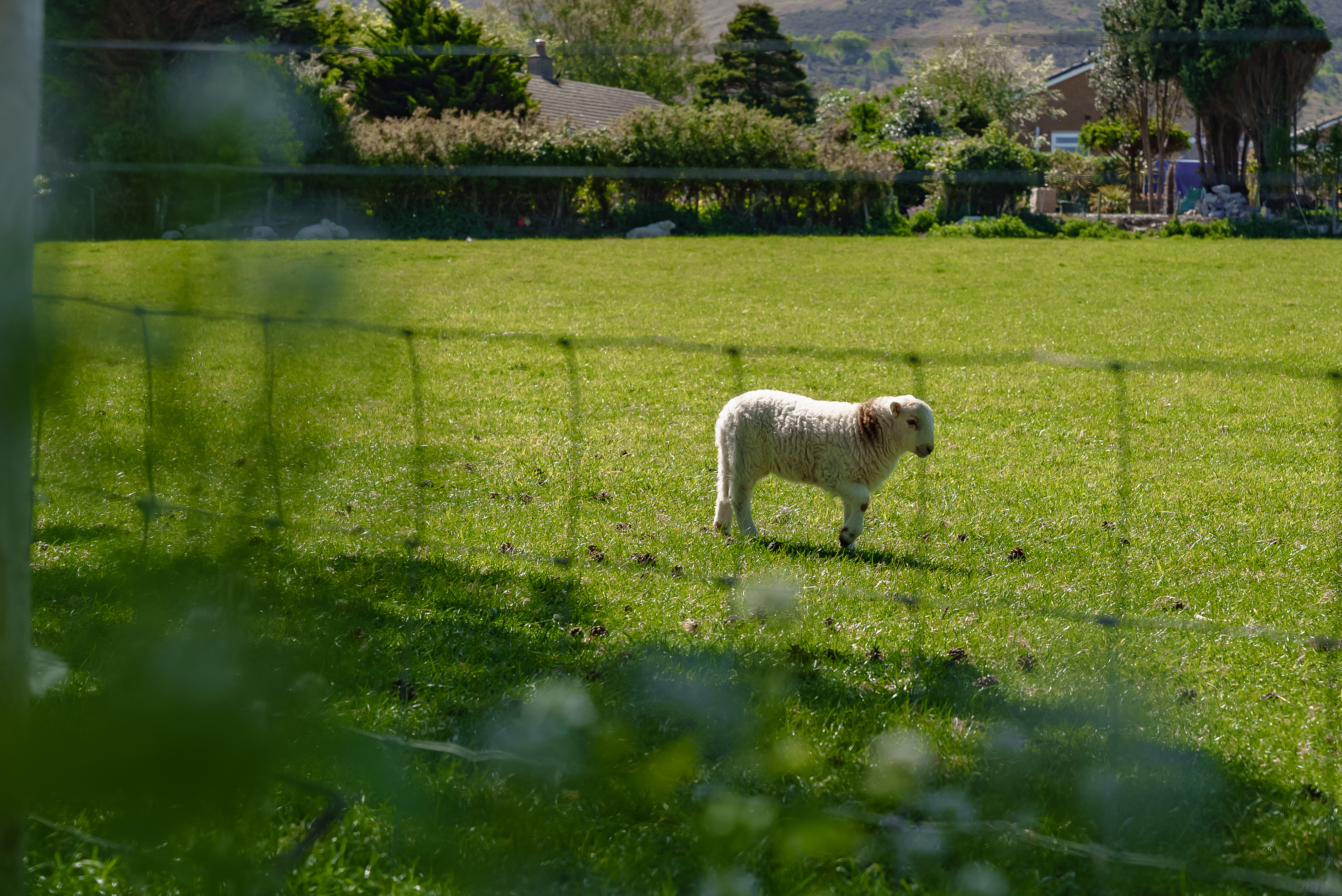 Dwygyfylchi, Penmaenmawr, LL34, photo 13