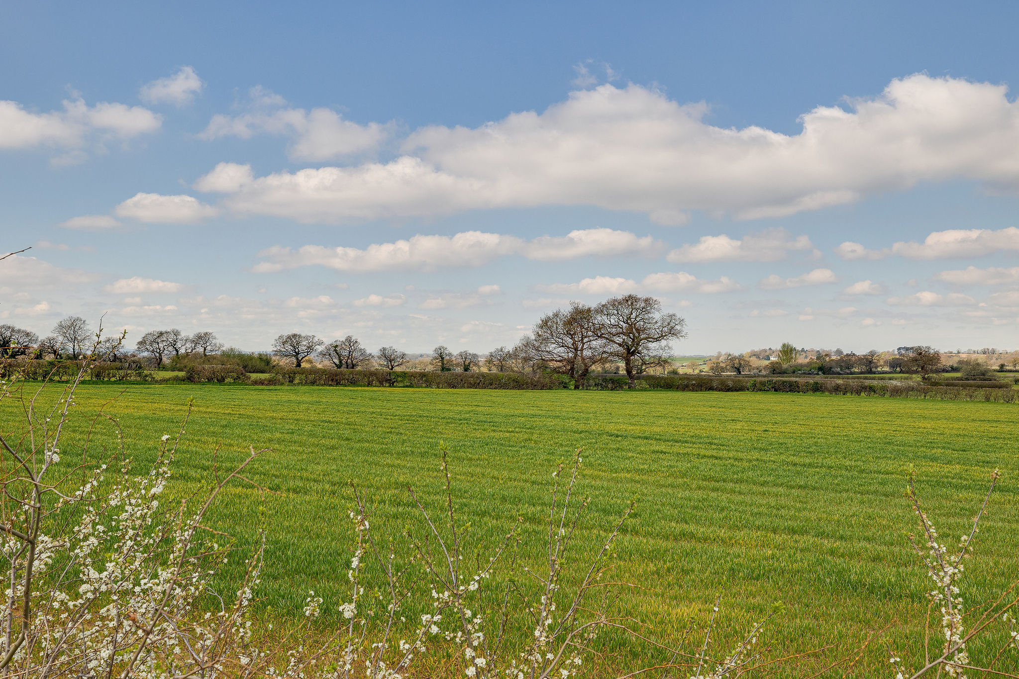 Woodfin View, Bypass Road, CH3, photo 23