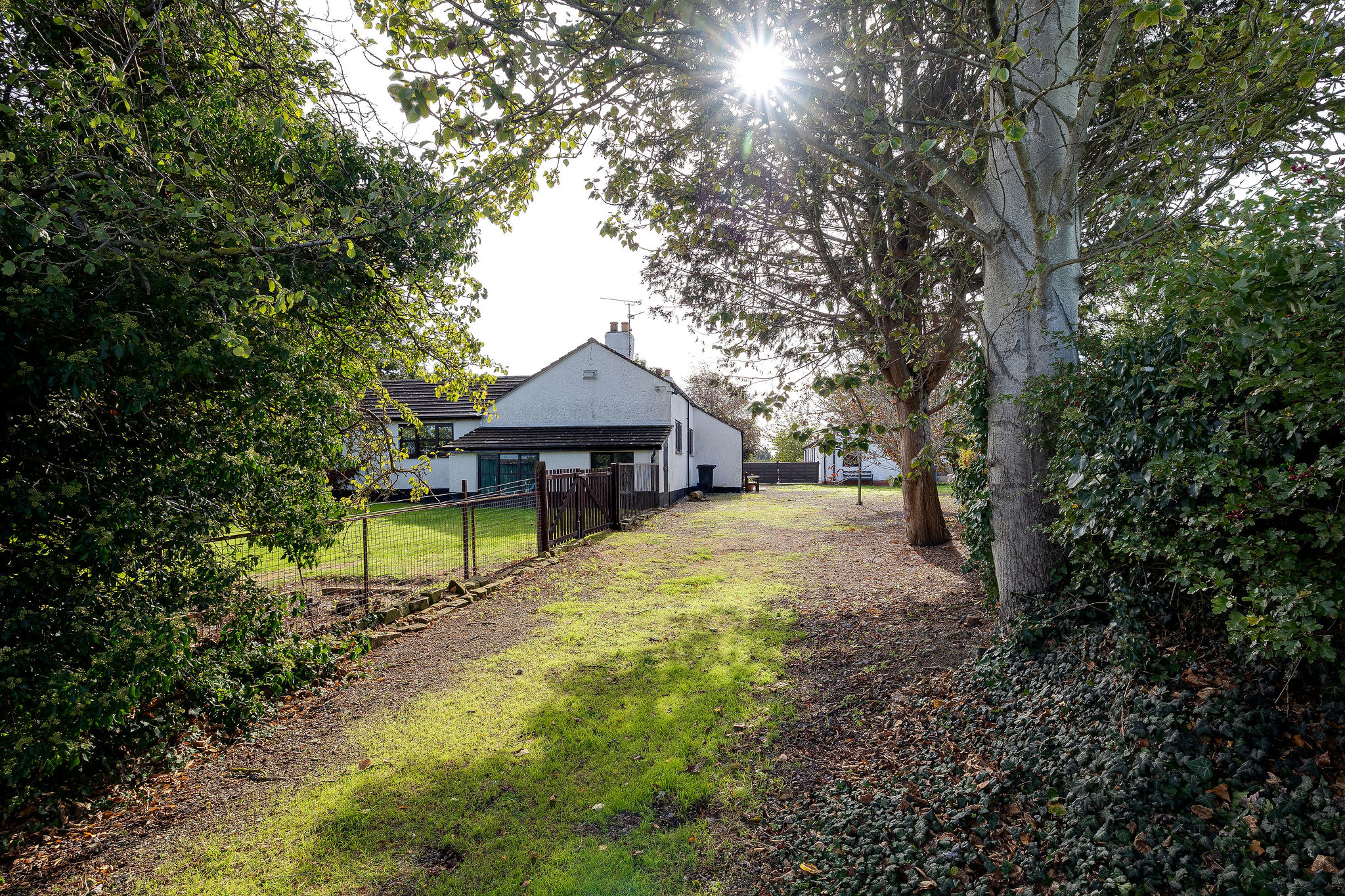 Bretton Lane, Bretton, CH4, photo 4