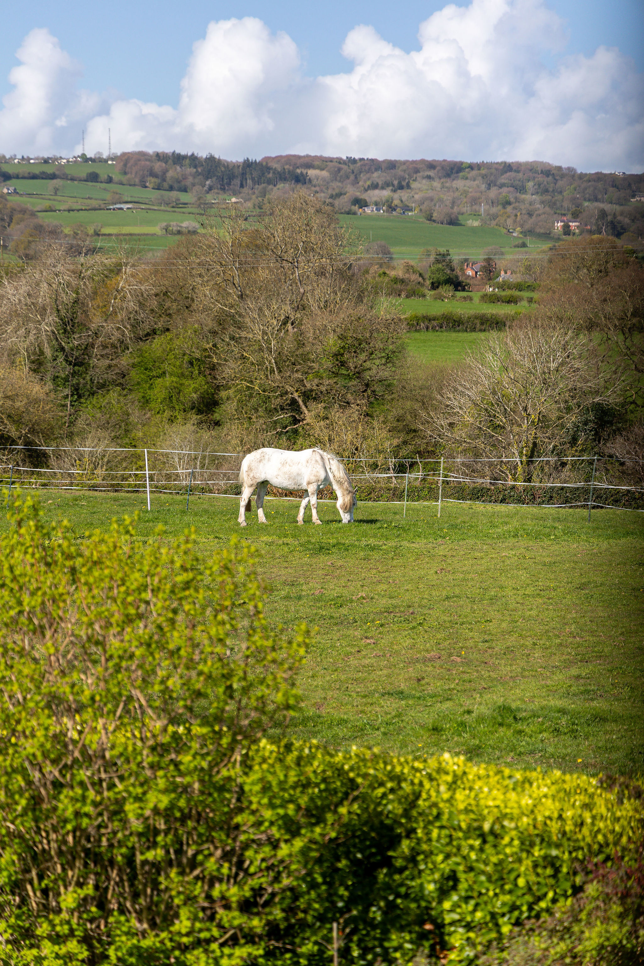 Allt Goch Lane, Northop, CH7, photo 4