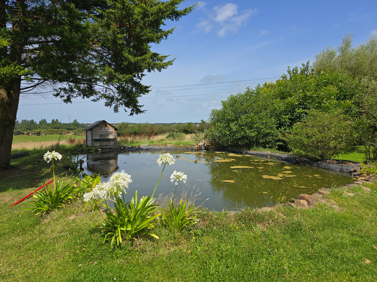 Bridgerule, Holsworthy, EX22, photo 27