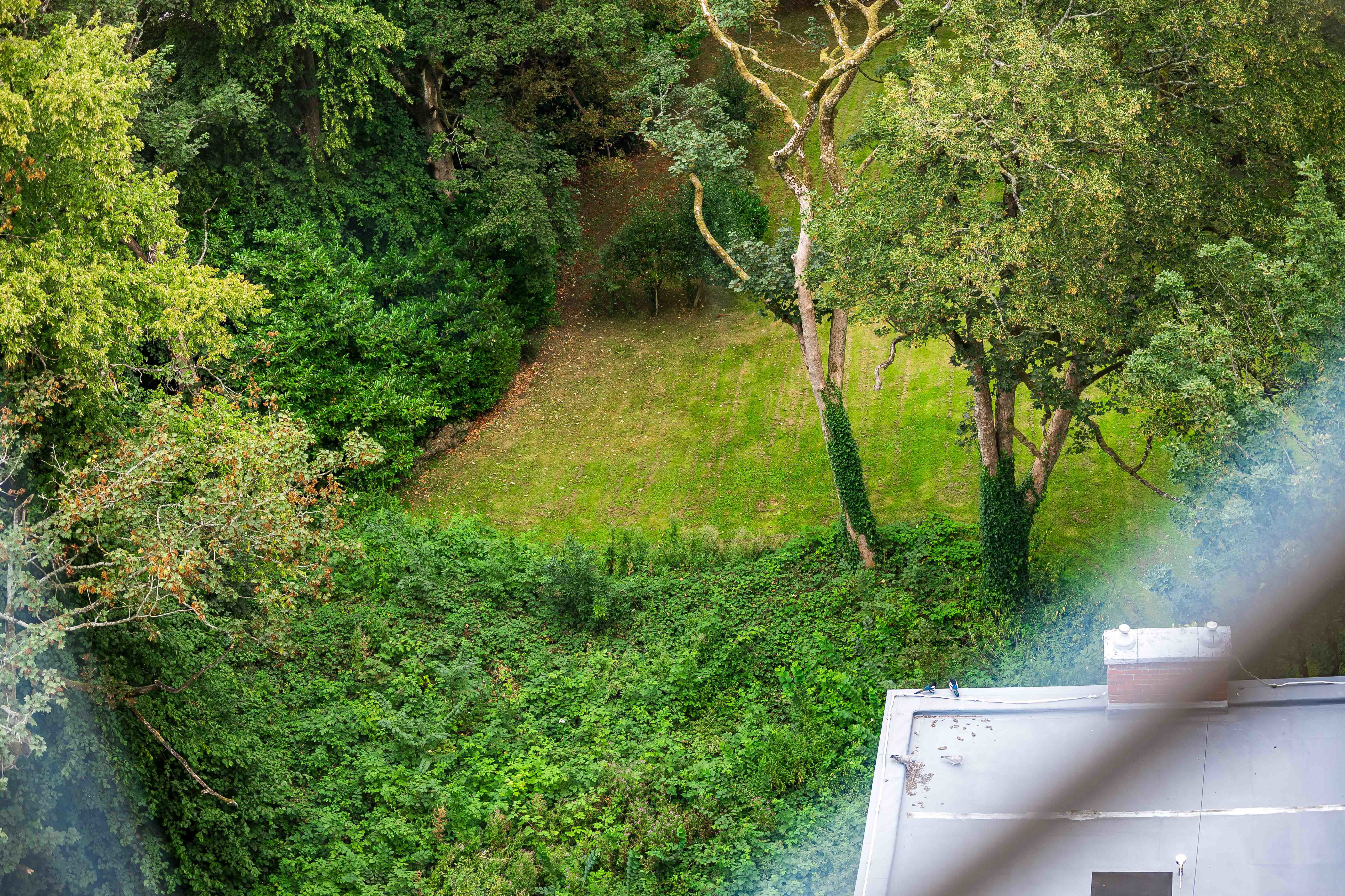 Photo 39
