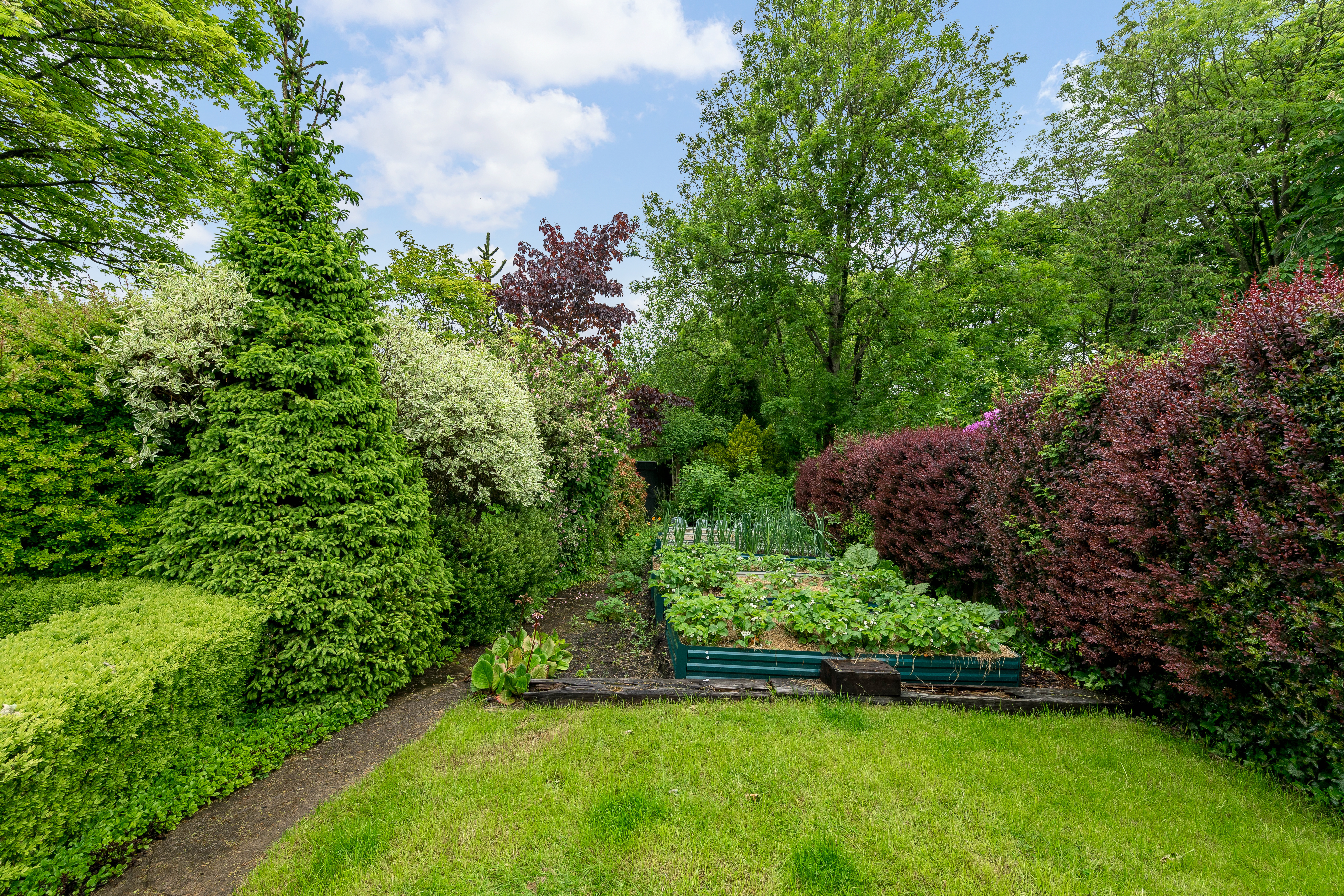 Church Road, Smithills, photo 70
