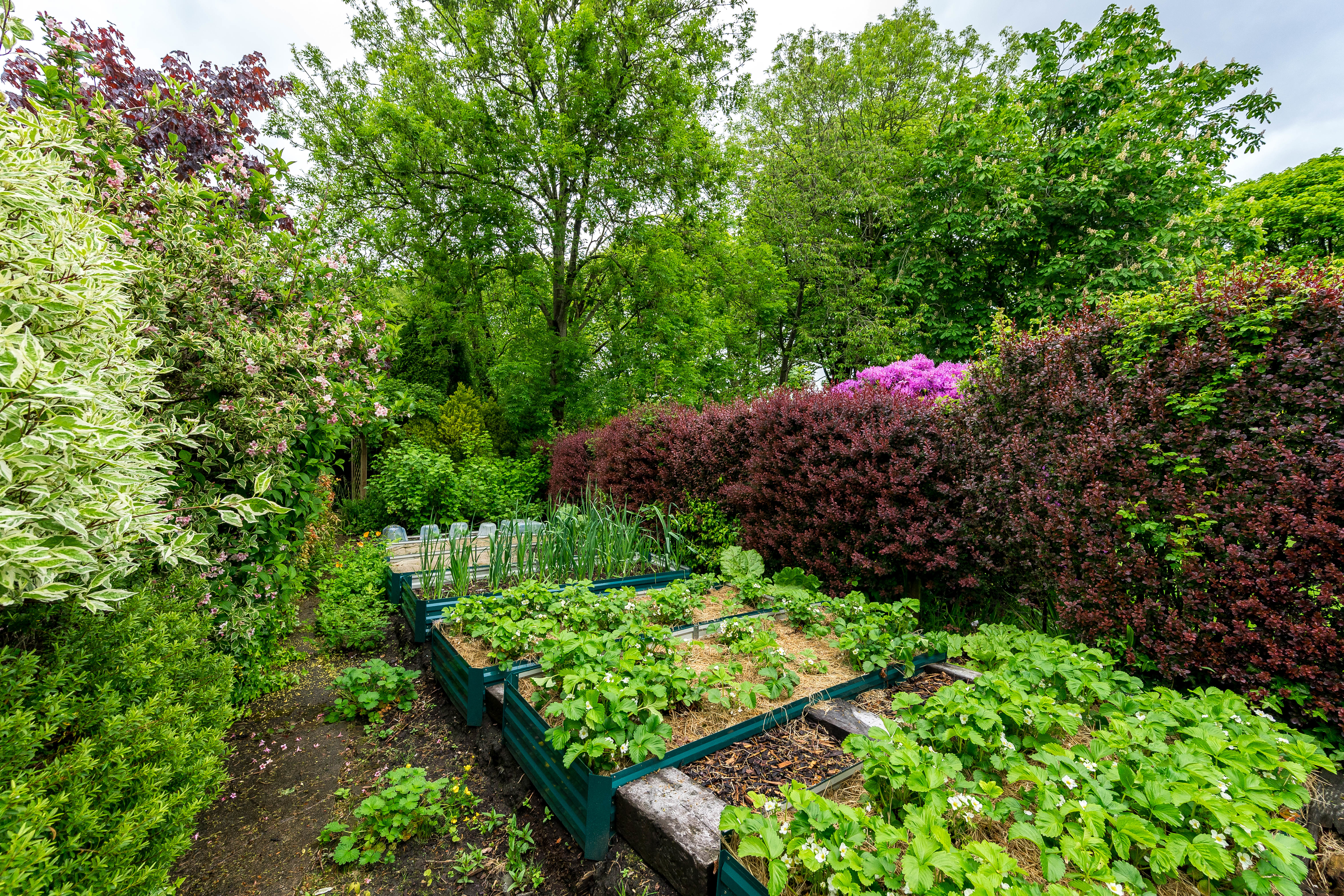 Church Road, Smithills, photo 71