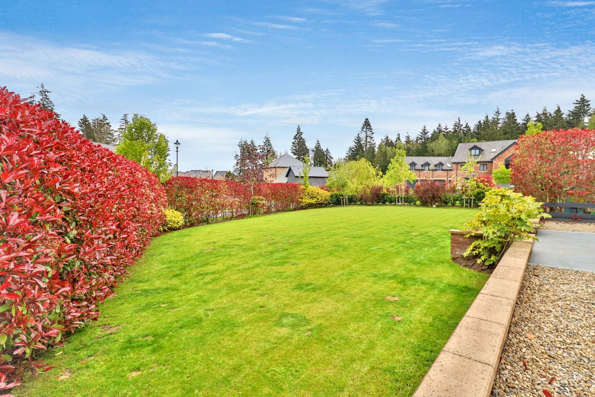 Garden III